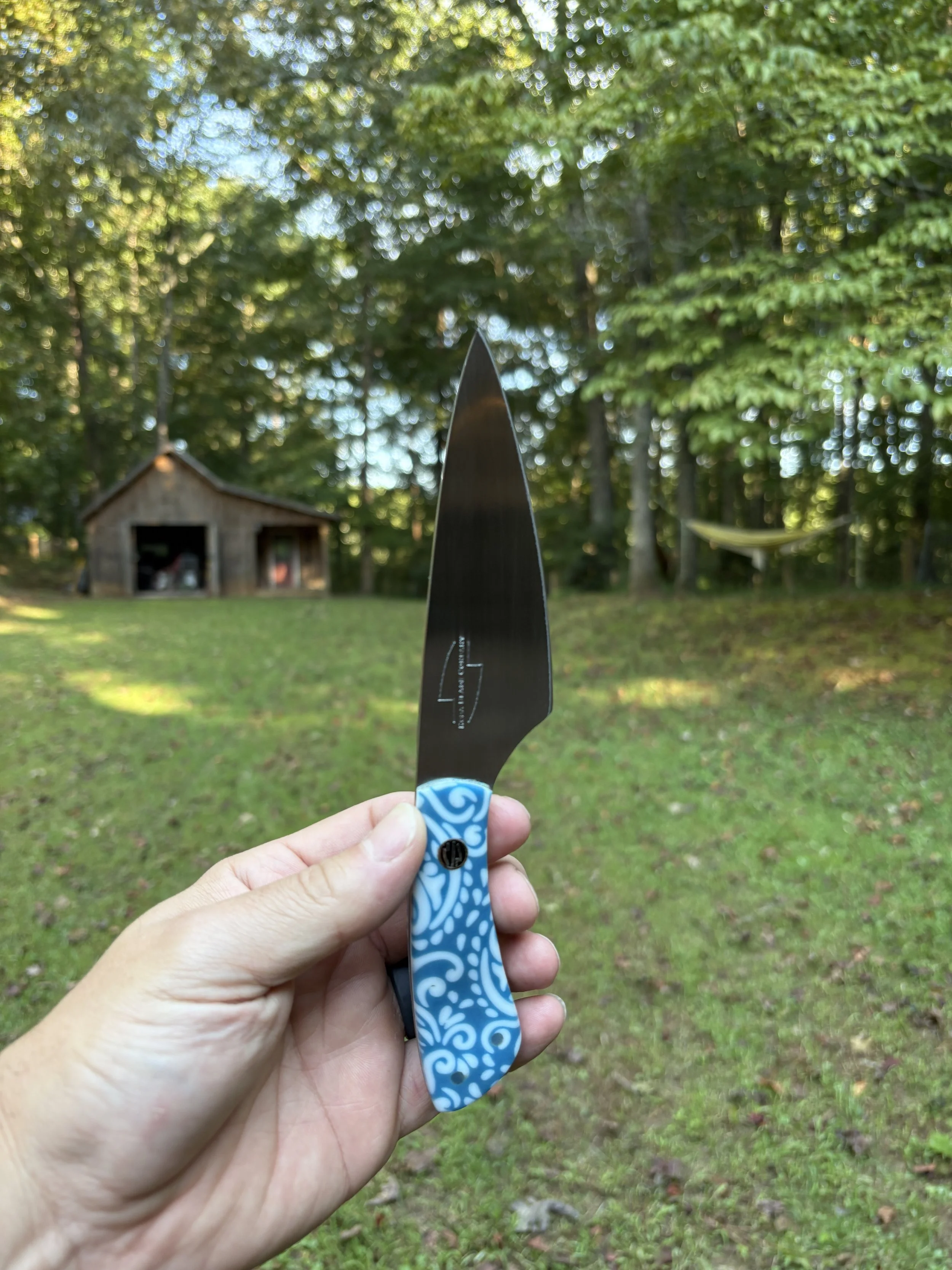 Koda Paring - Blue Paisley 1.JPG