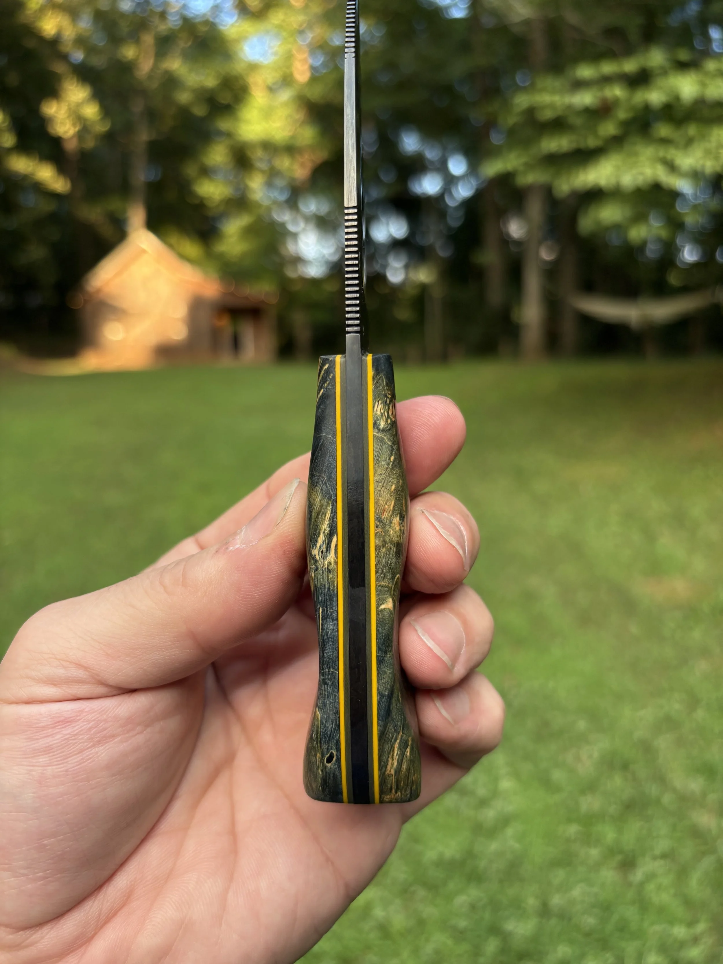 KBC Tracker - Black & Blue Box Elder Yellow 4.JPG