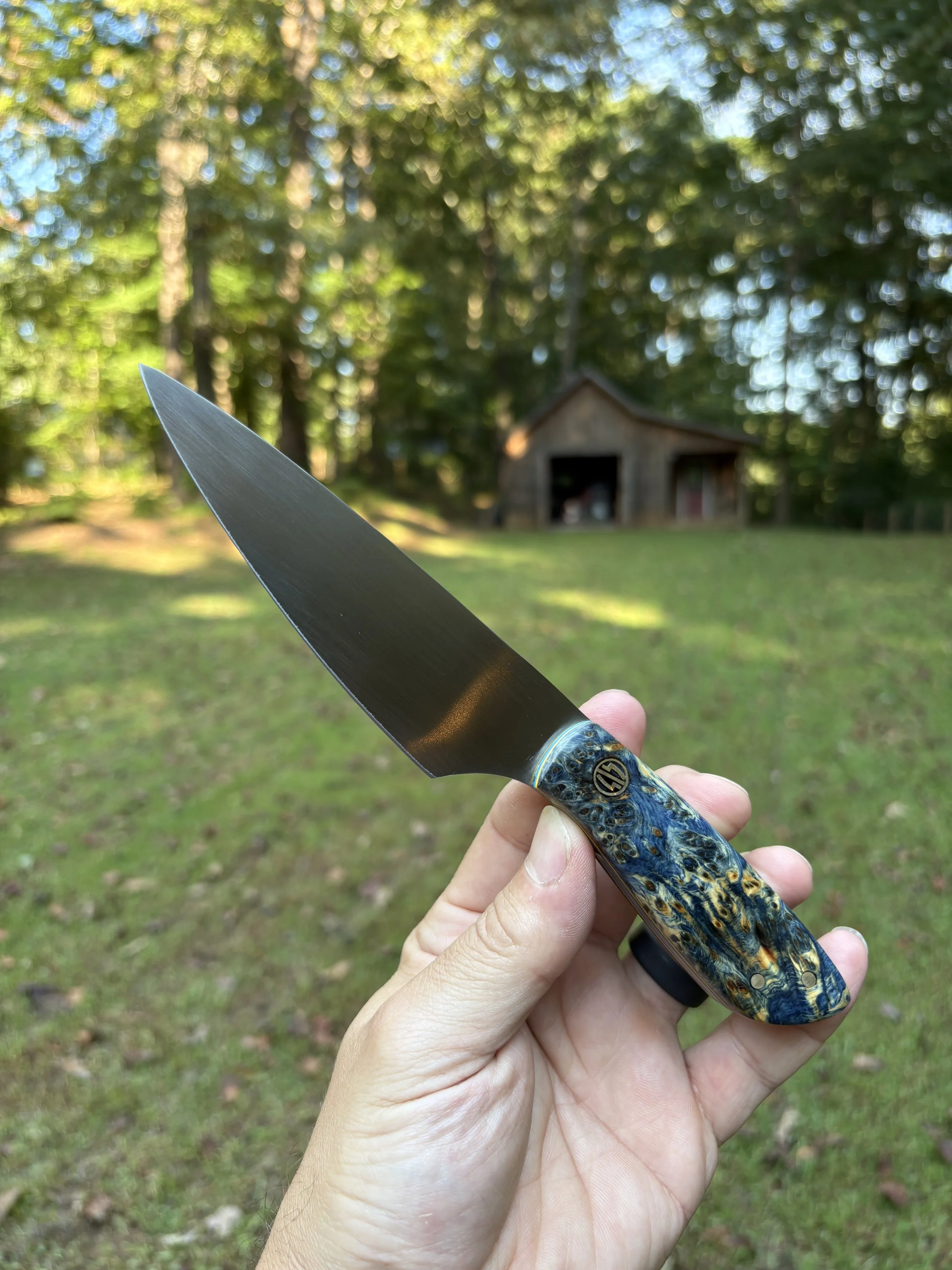 Koda Paring - Blue YCB 4.JPG