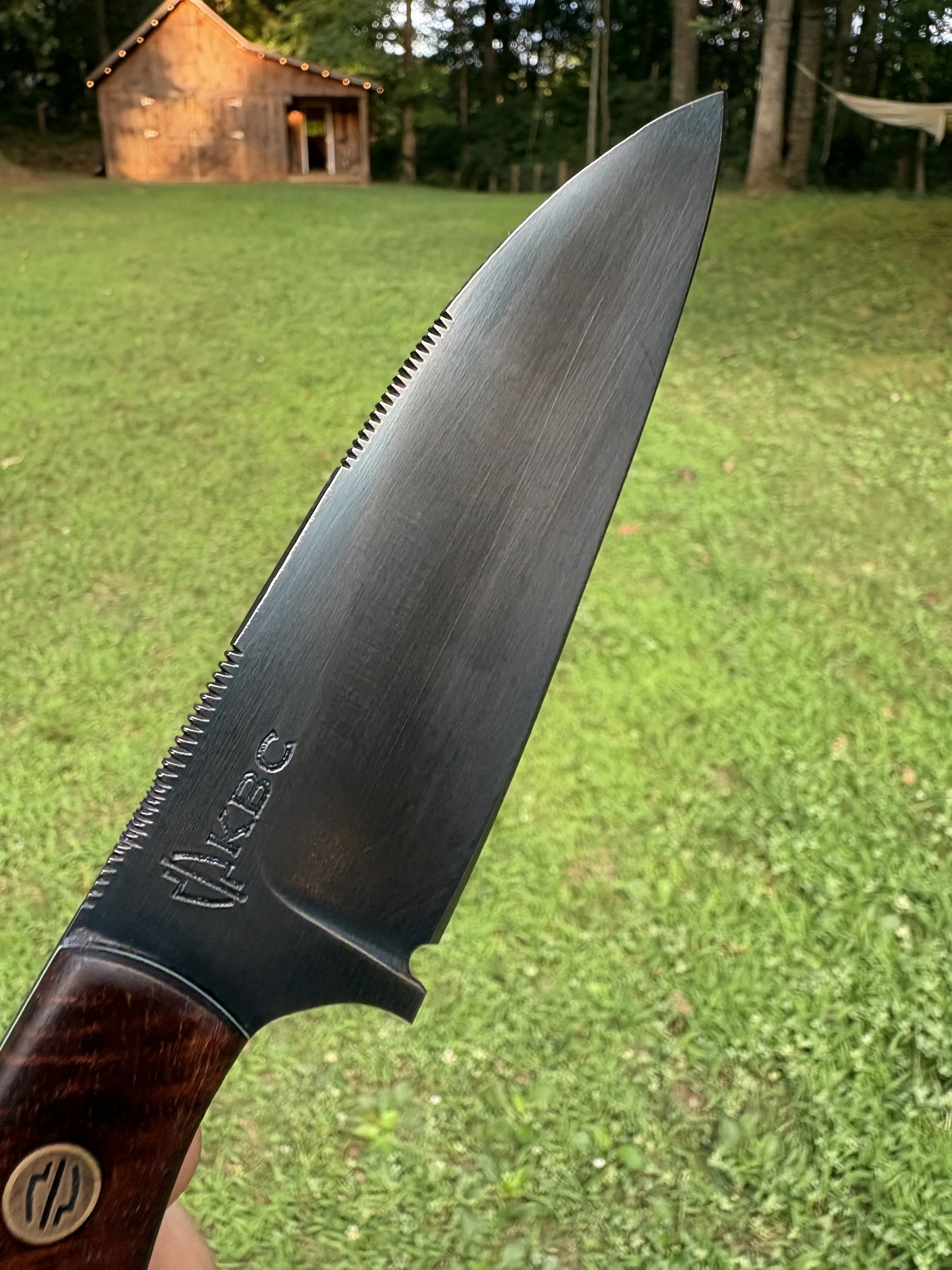 KBC Tracker - Black & Blue Tazzy Blackwood 3.JPG