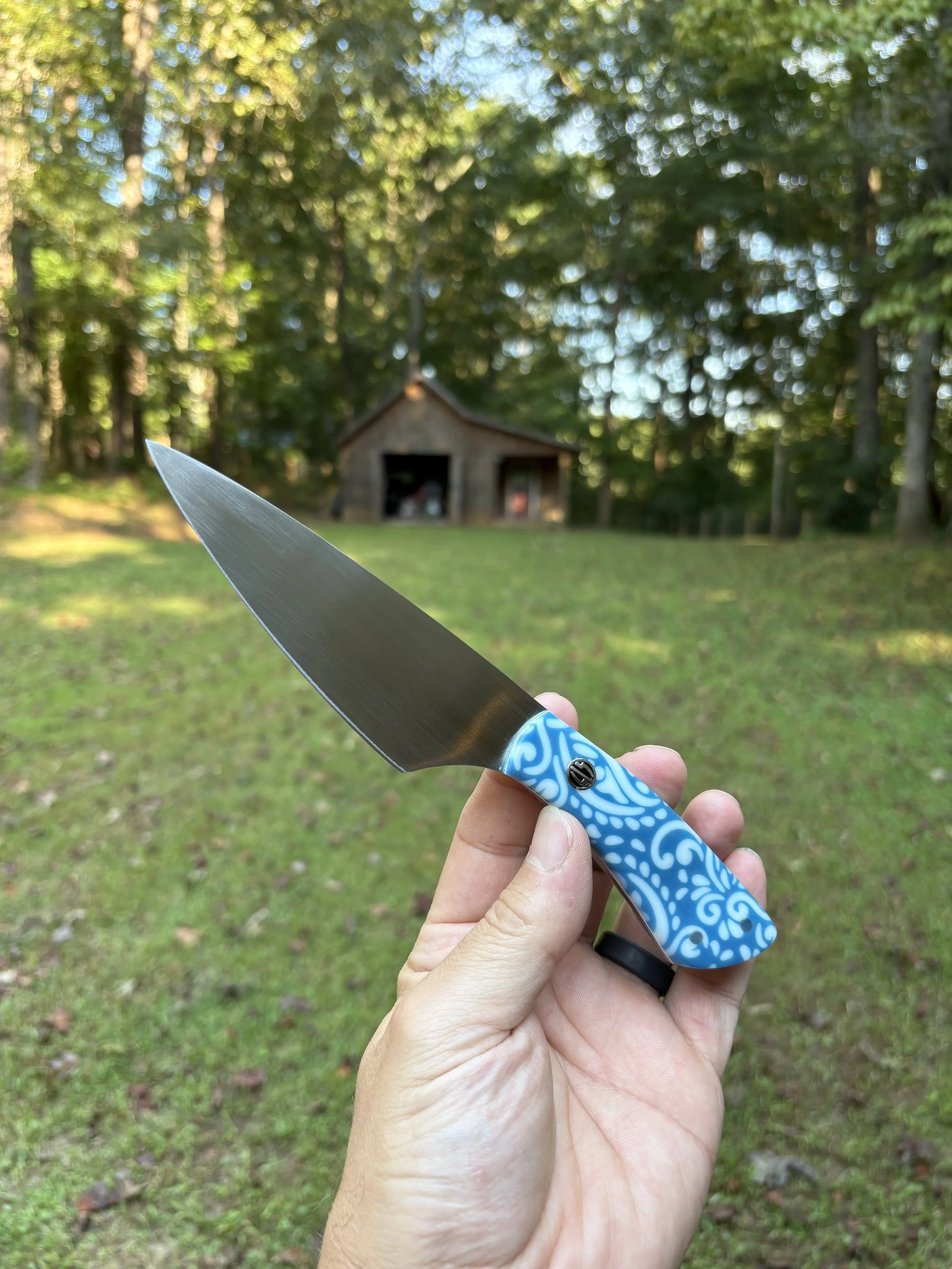 Koda Paring - Blue Paisley 4.JPG