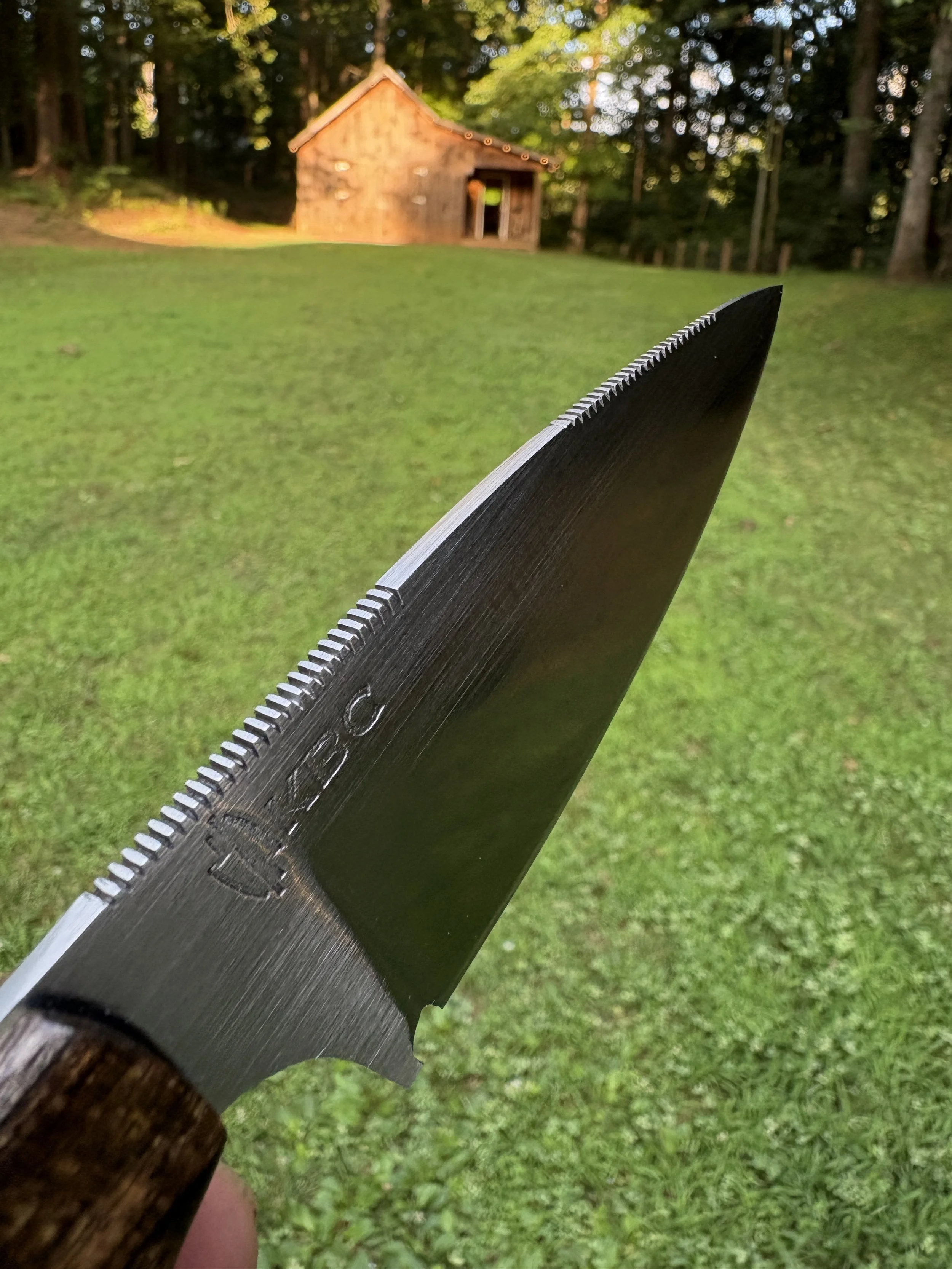 KBC Tracker - ProCut Mango Full OD Green 3.JPG