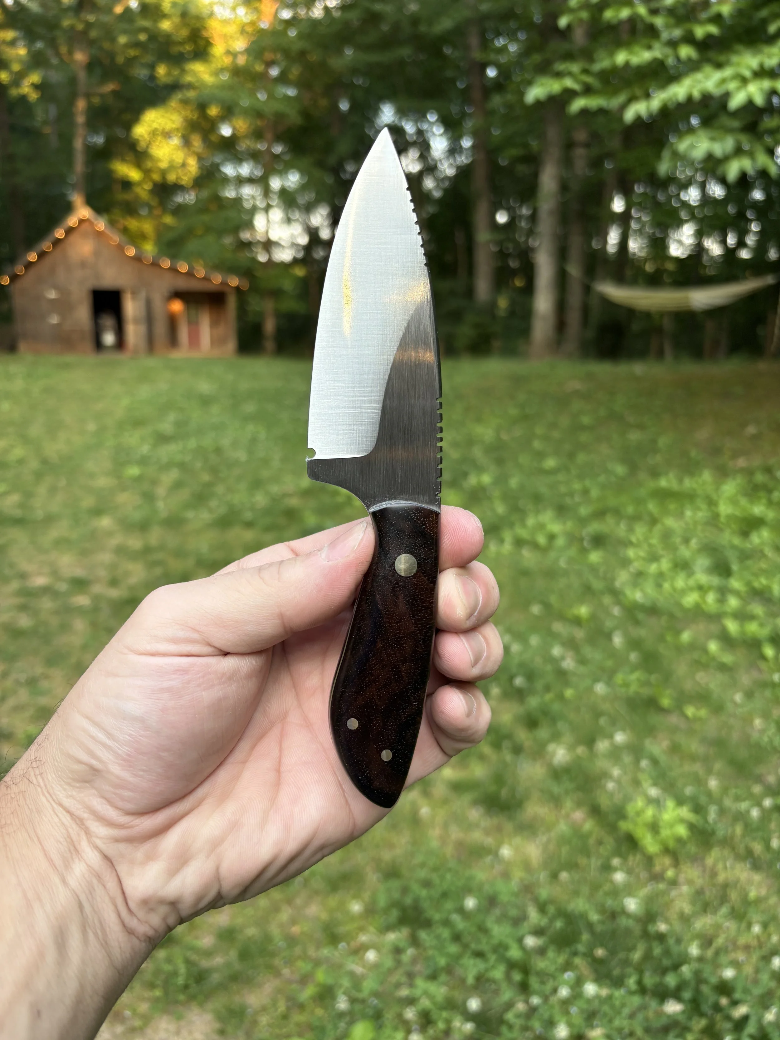 Turkish Walnut 1.JPG
