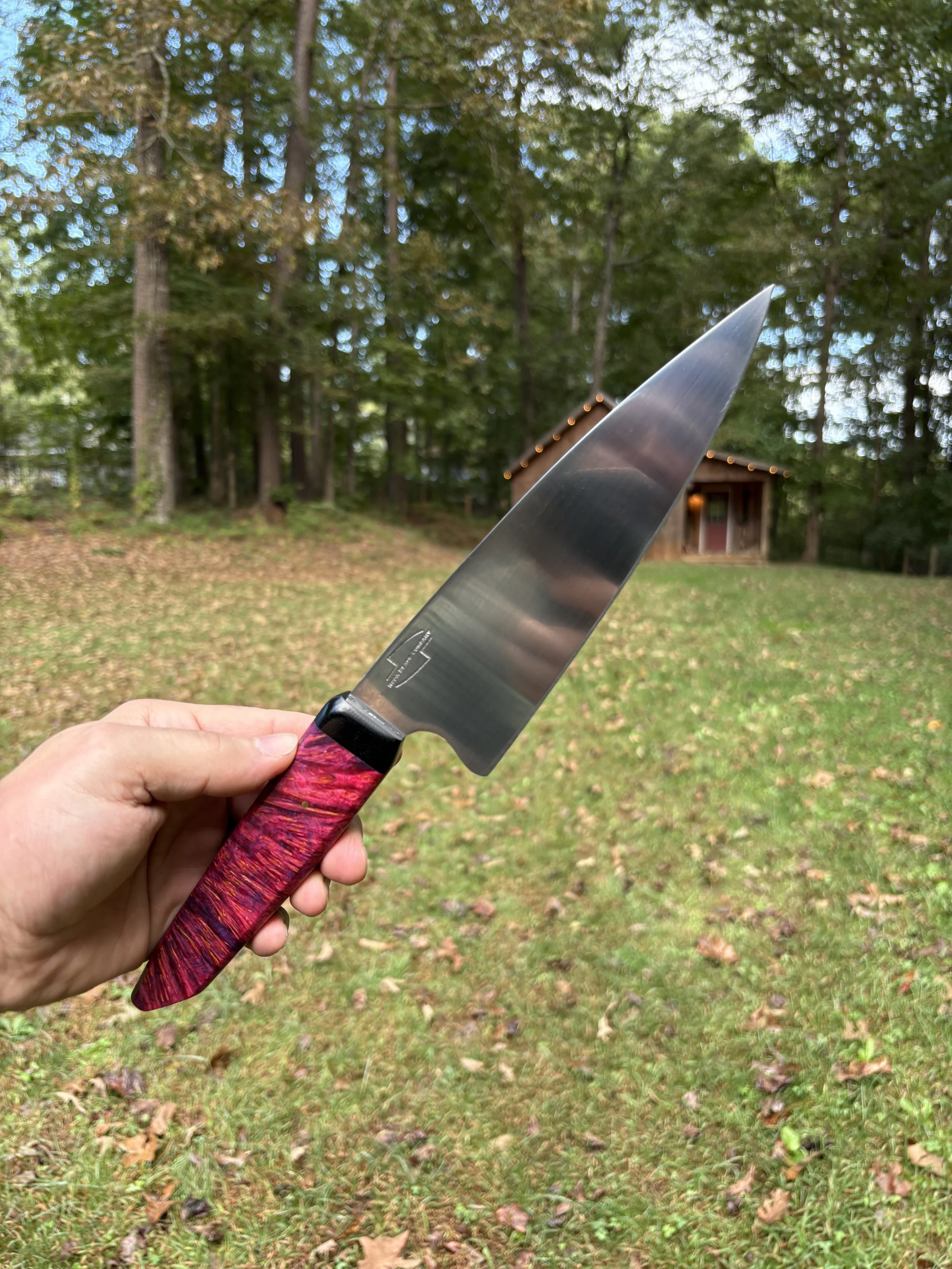 Koda Blade Hornet Yellow Cedar Burl 3.JPG
