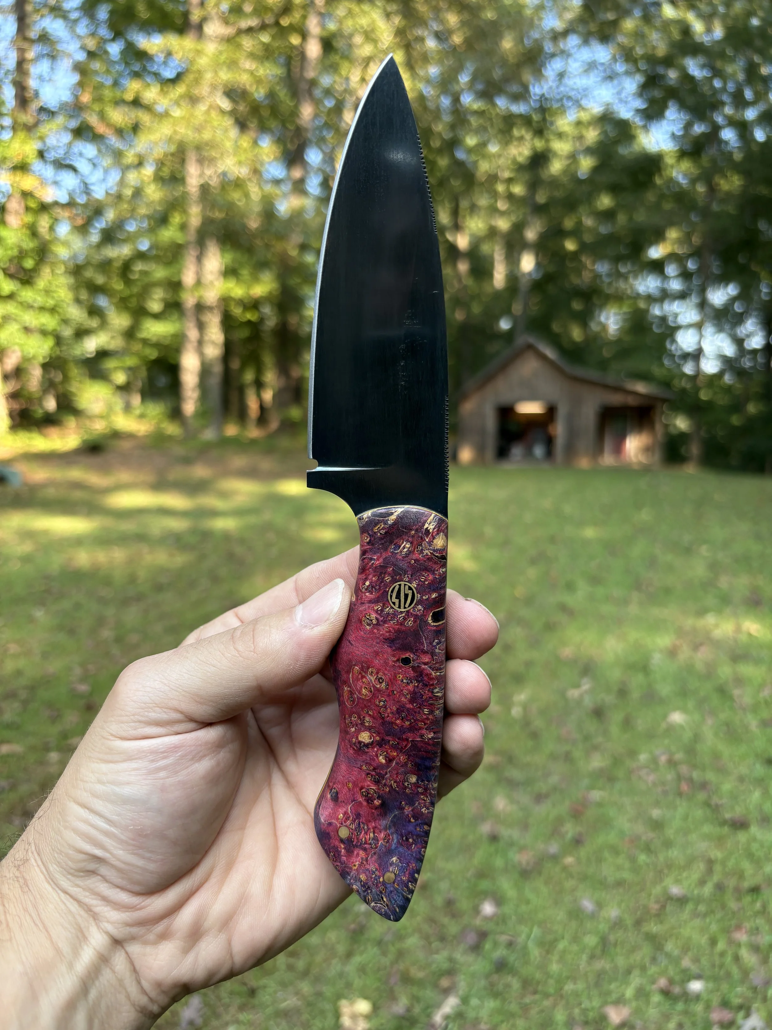 KBC B+B Tracker - Cosmic Amboyna 3.JPG