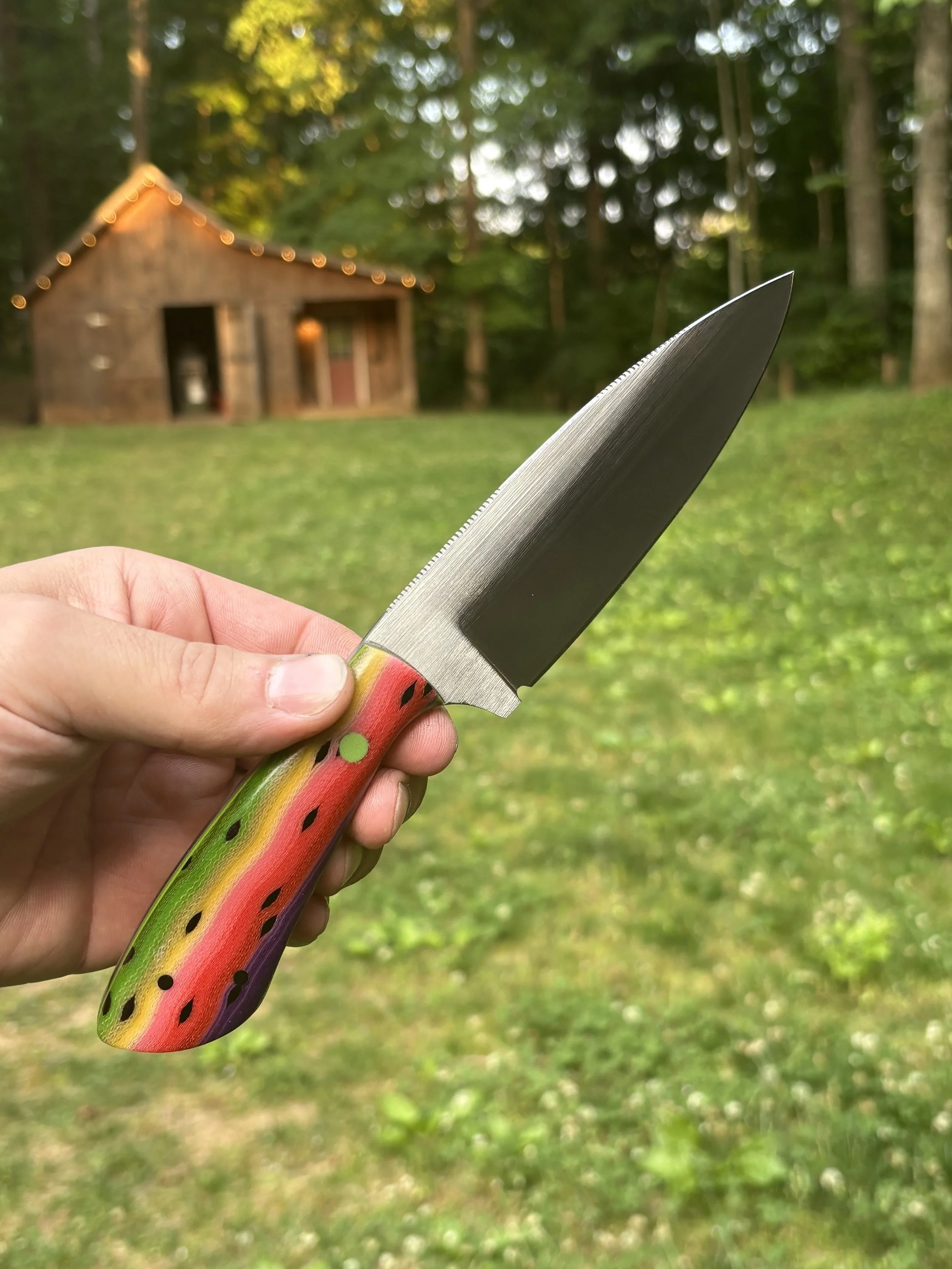 Rainbow Trout 3.jpg
