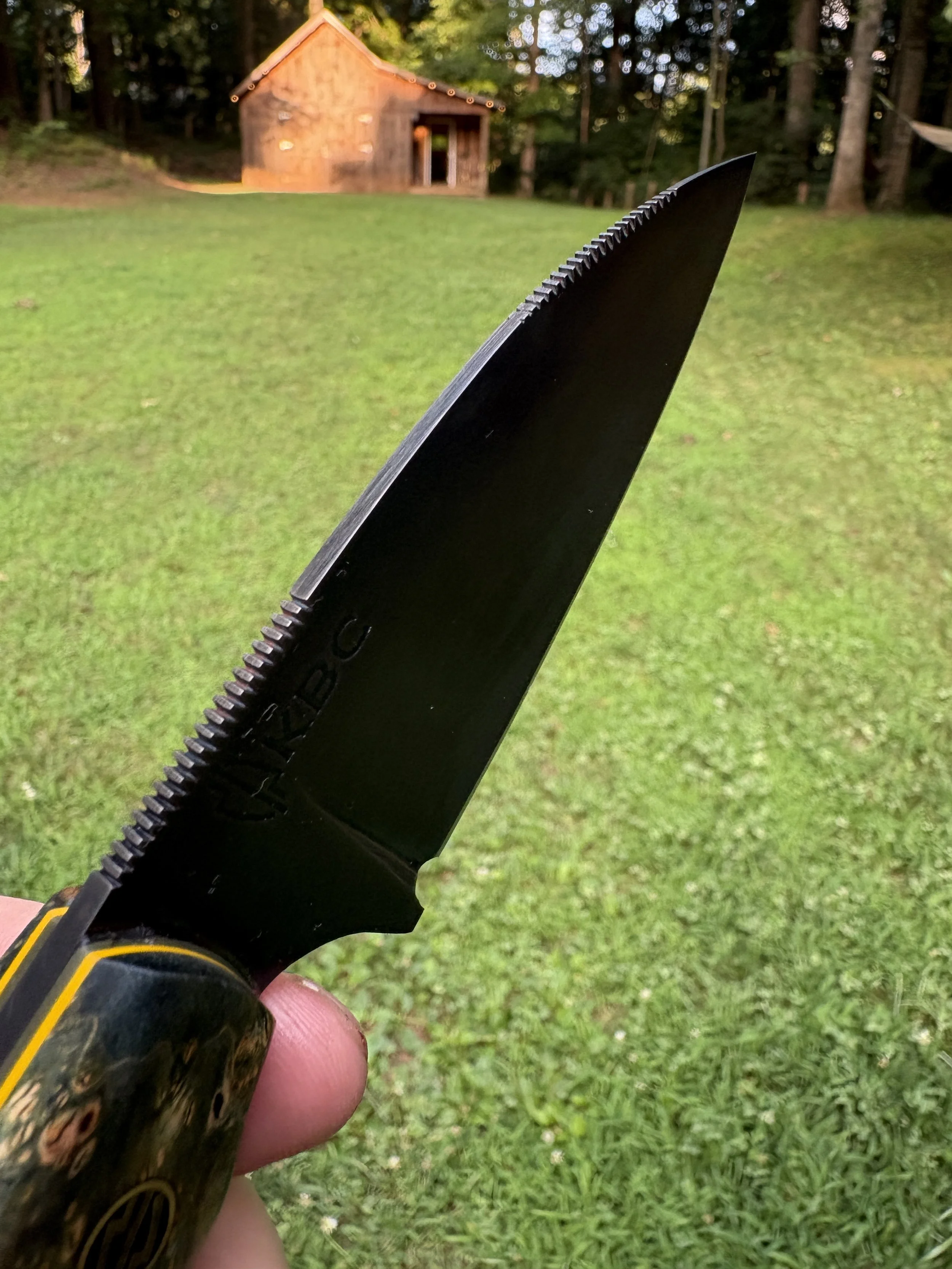 KBC Tracker - Black & Blue Box Elder Yellow 3.JPG