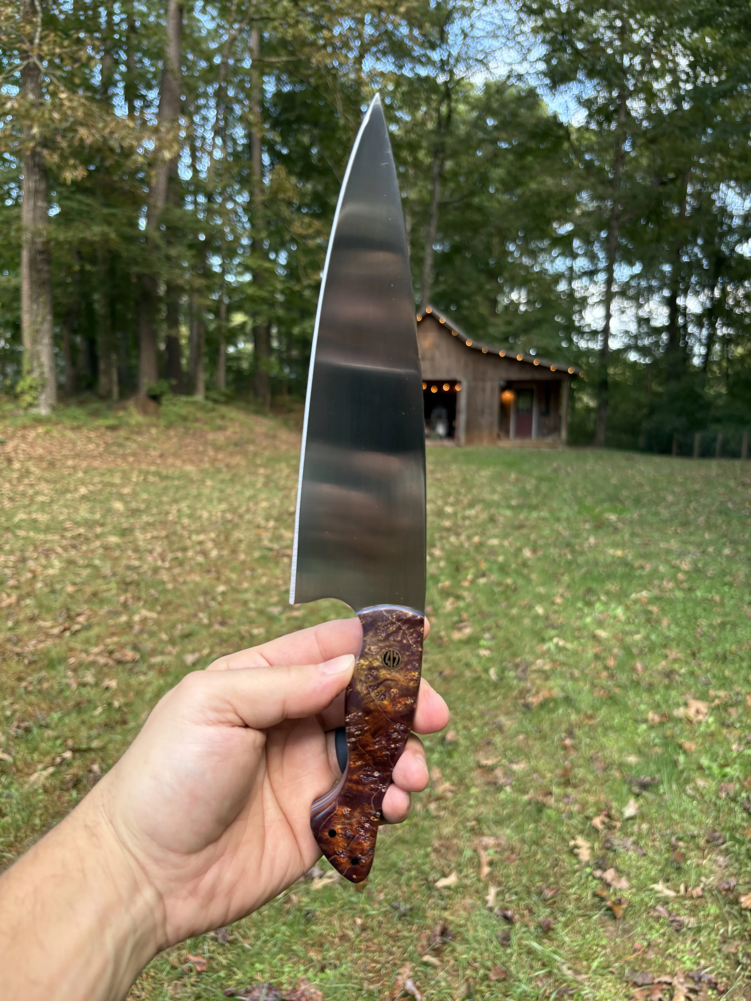 Koda Hornet Box Elder Burl 2.JPG