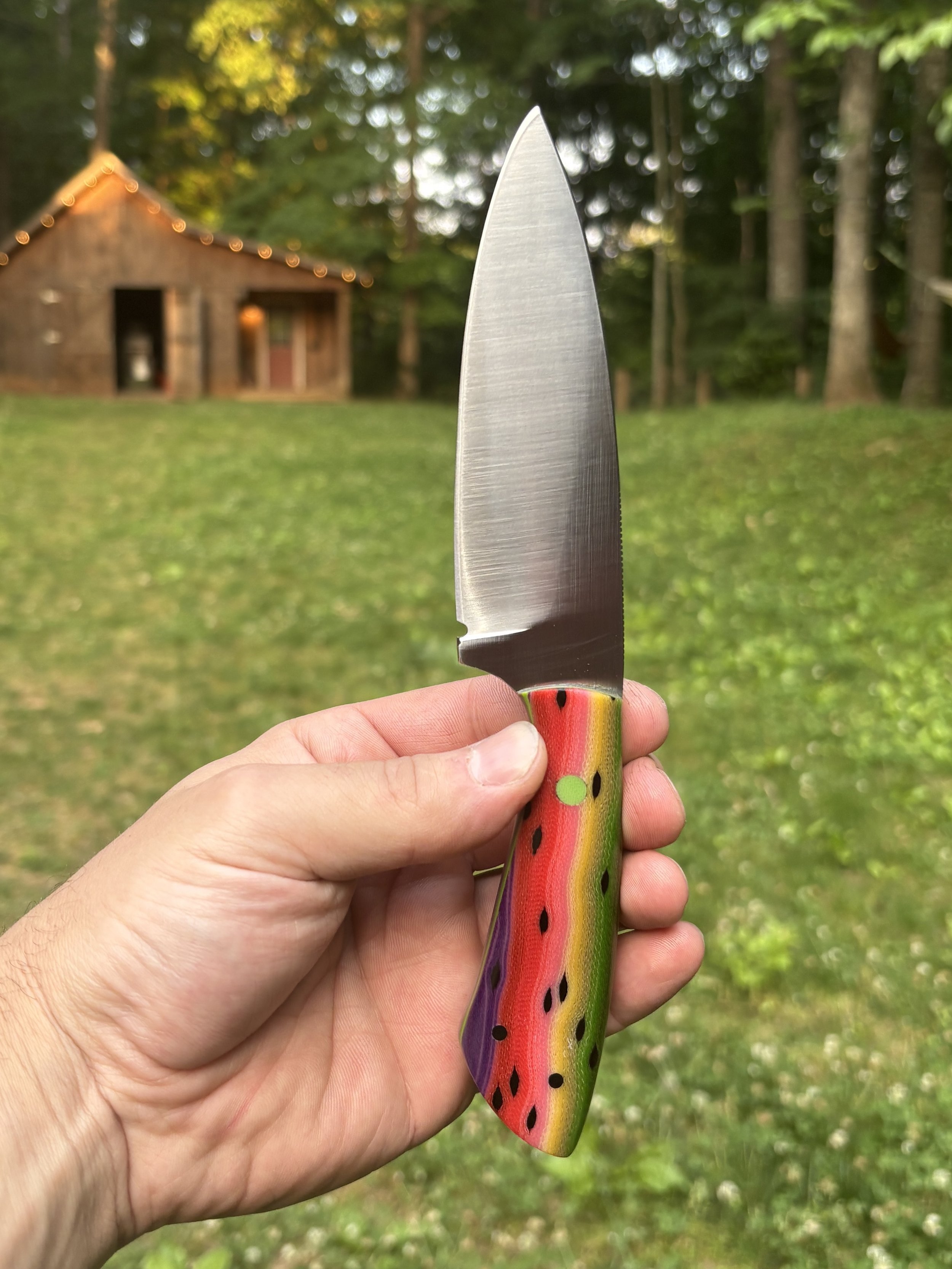 Rainbow Trout 2.jpg