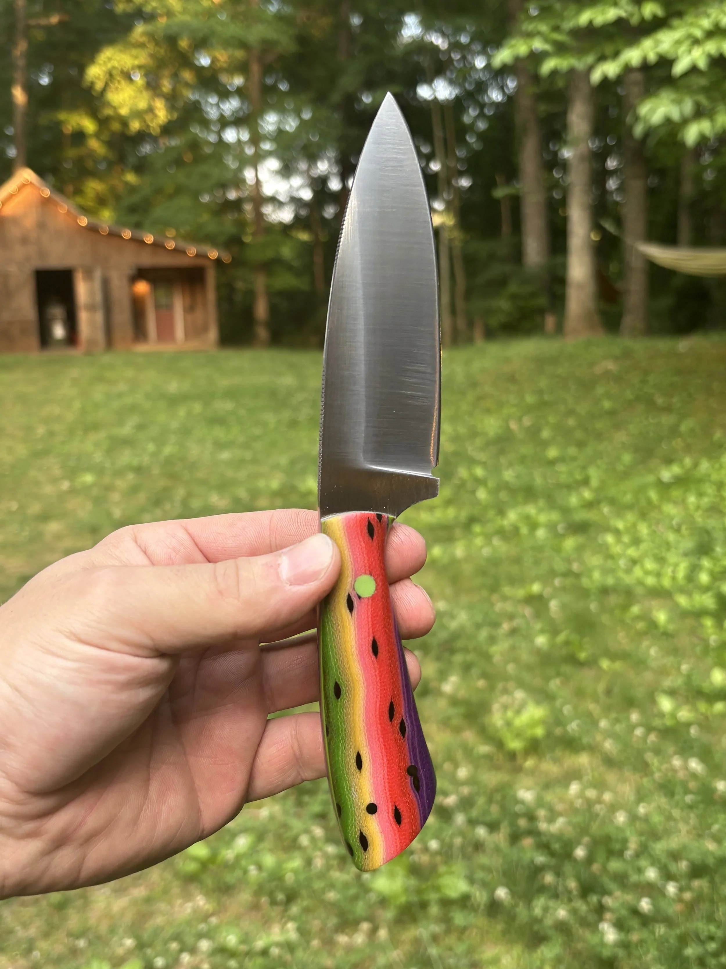 Rainbow Trout 4.jpg