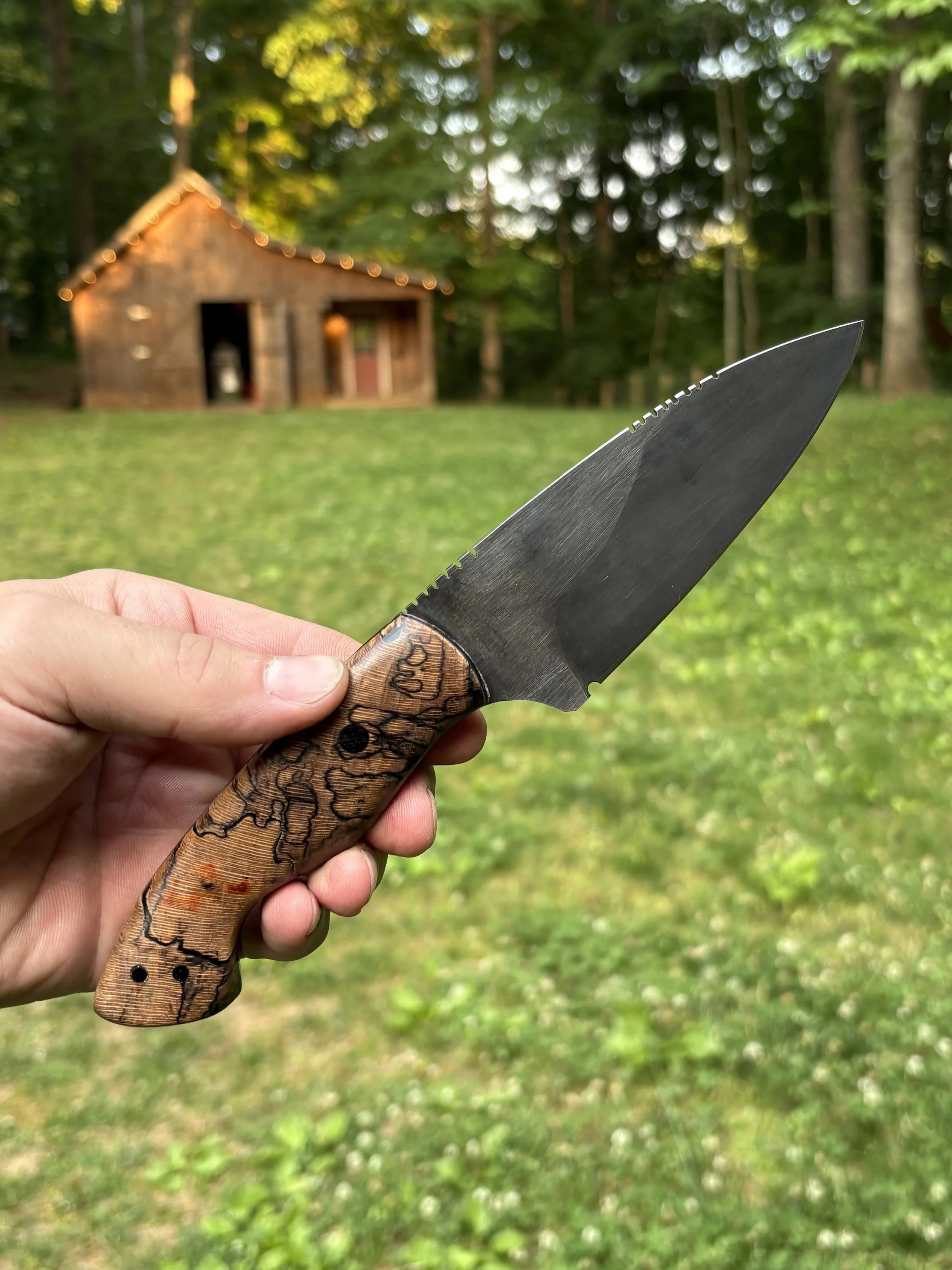 Hackberry 3.jpg