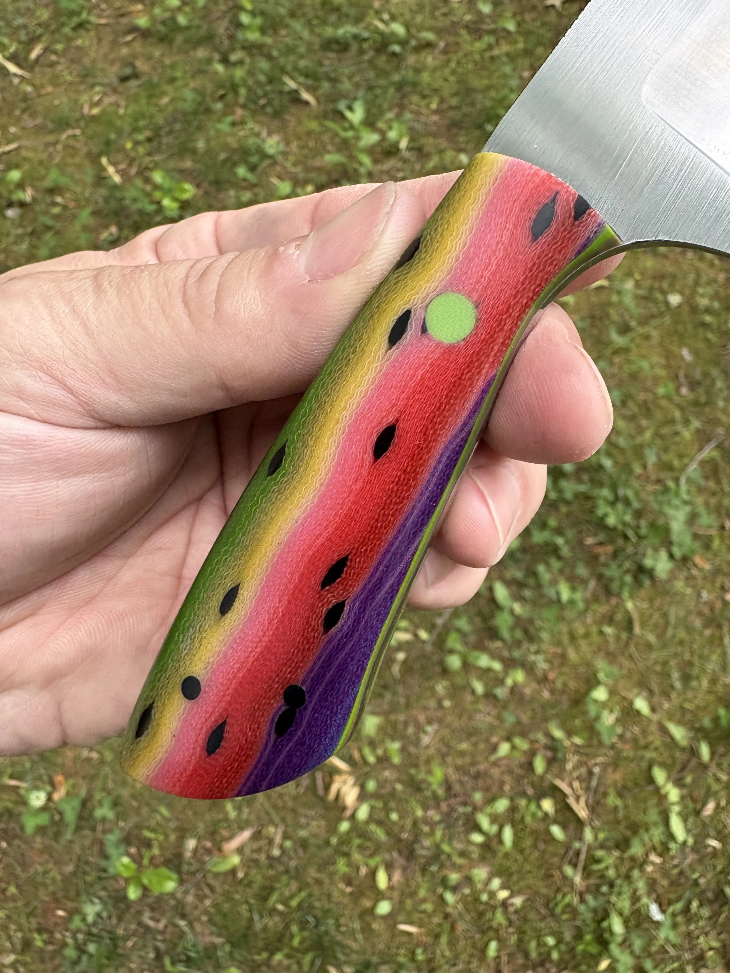 Rainbow Trout 5.JPG