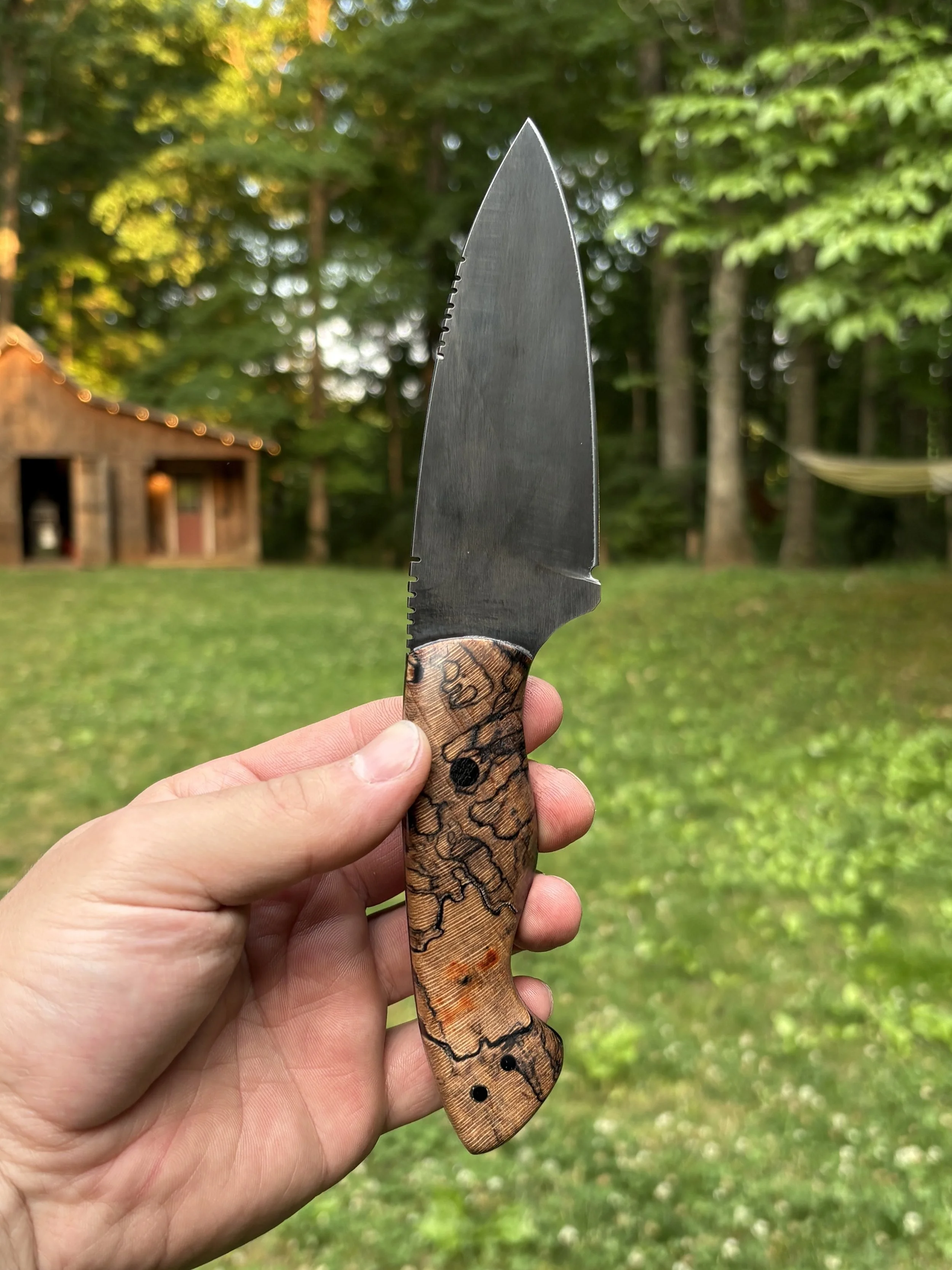 Hackberry 4.jpg