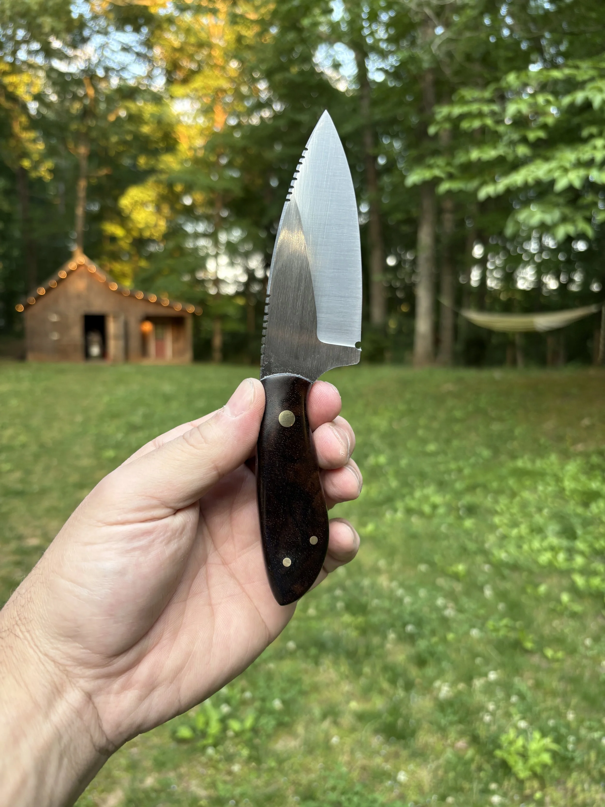 Turkish Walnut 3.JPG