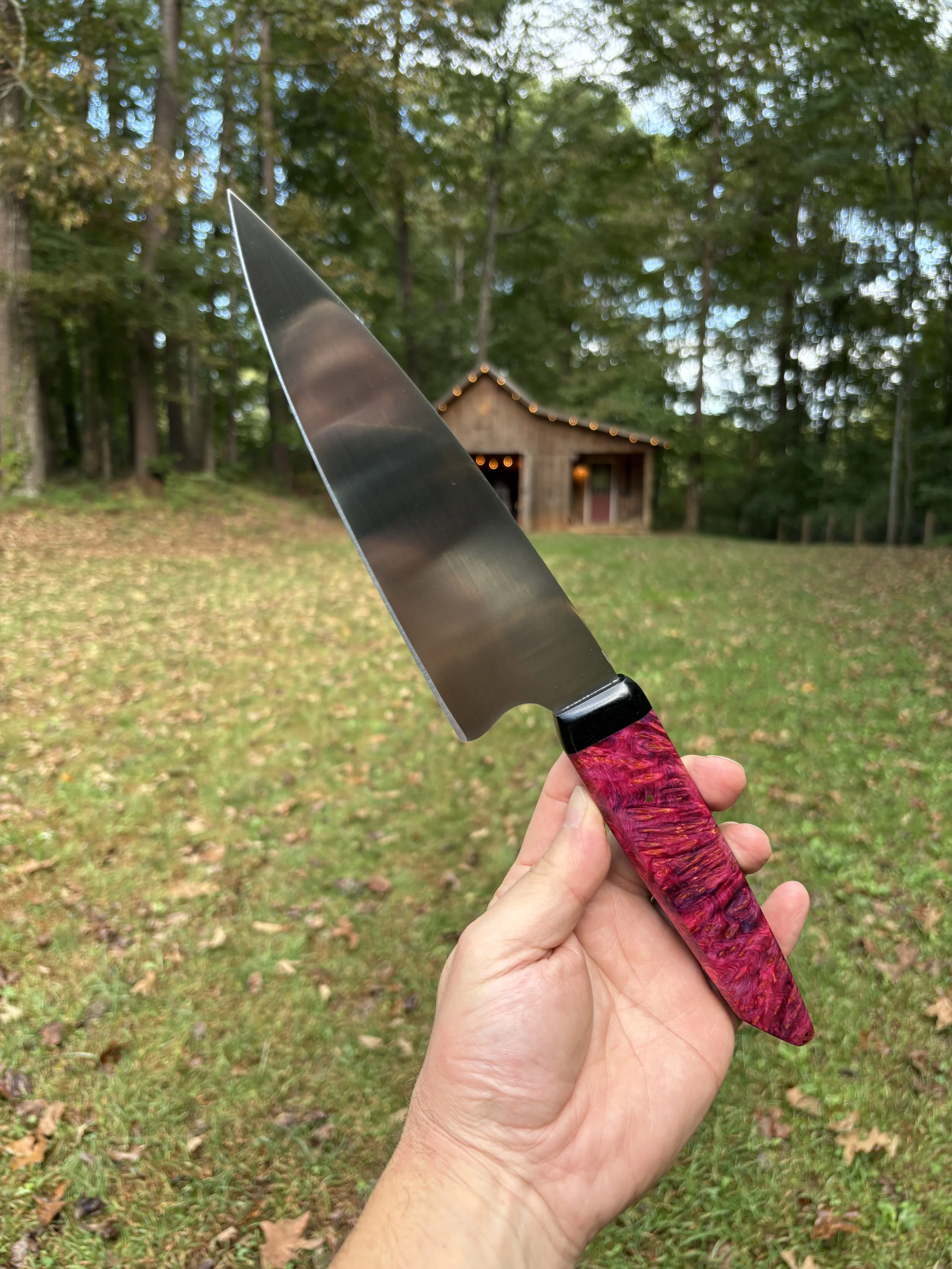 Koda Blade Hornet Yellow Cedar Burl 4.JPG