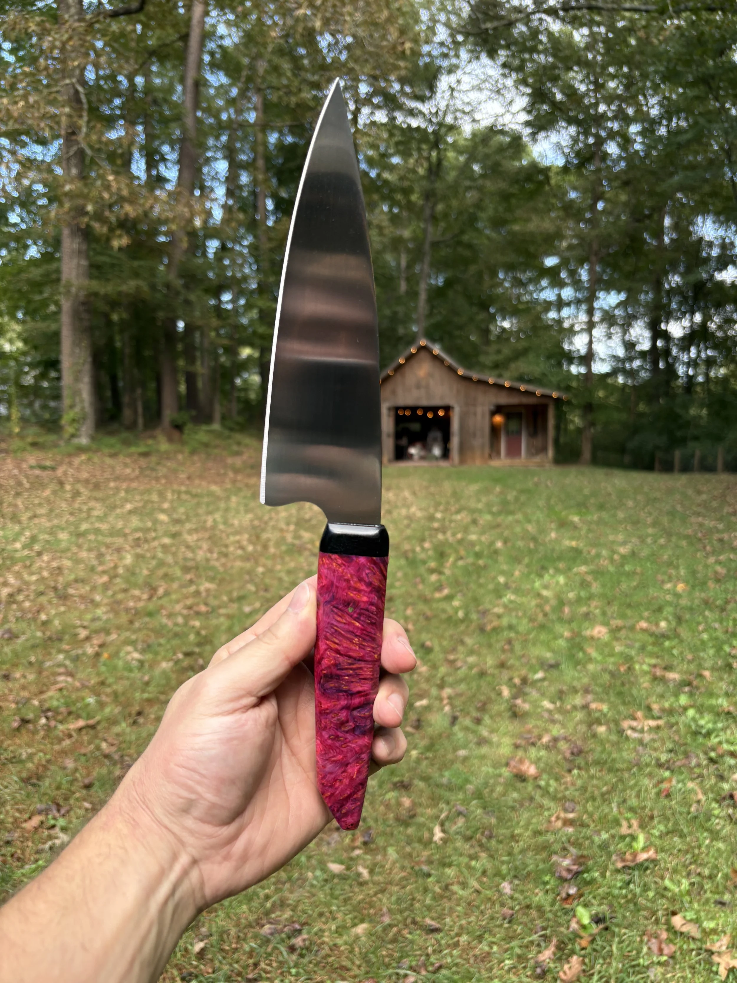 Koda Blade Hornet Yellow Cedar Burl 2.JPG