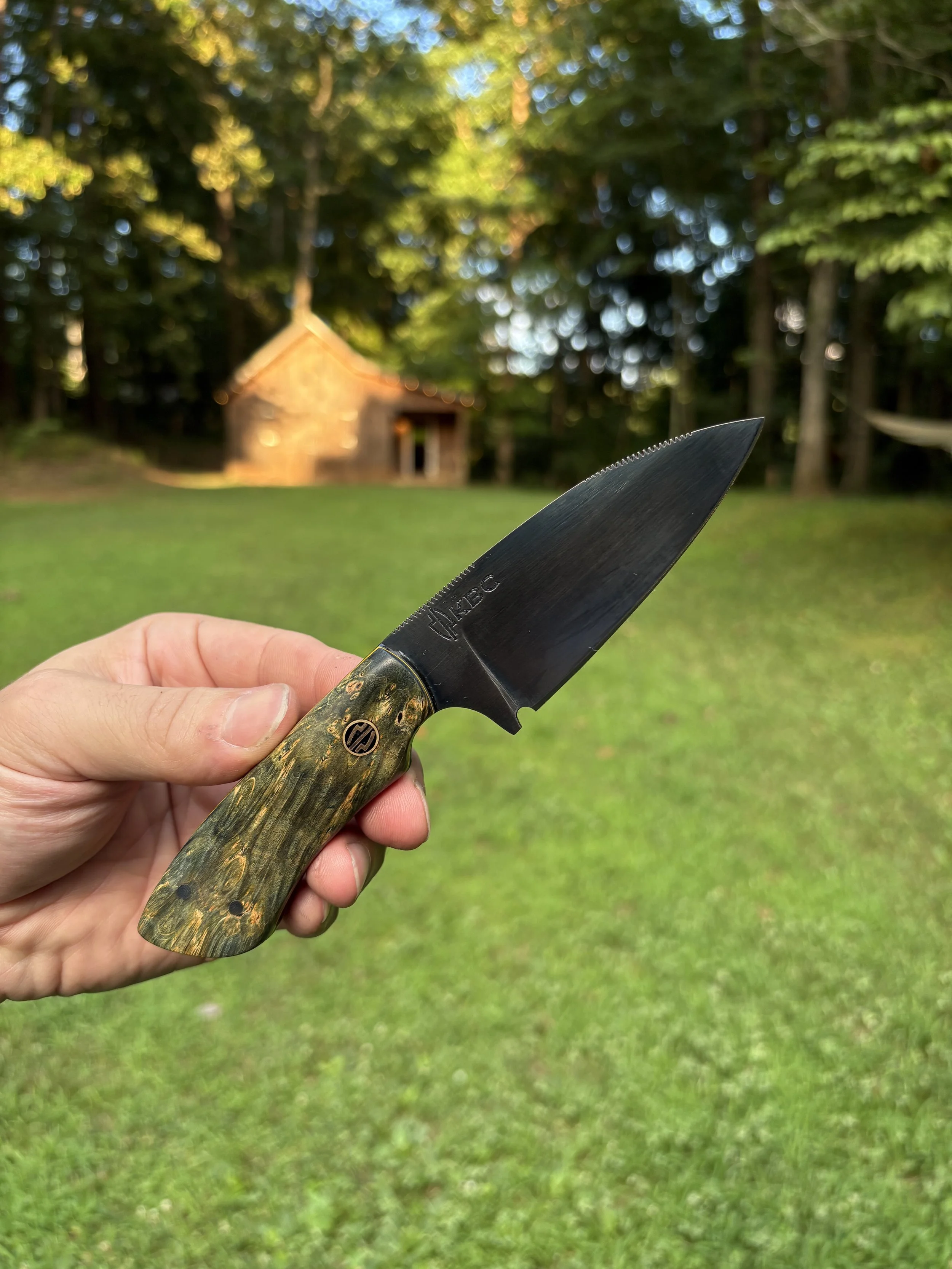 KBC Tracker - Black & Blue Box Elder Yellow 1.JPG