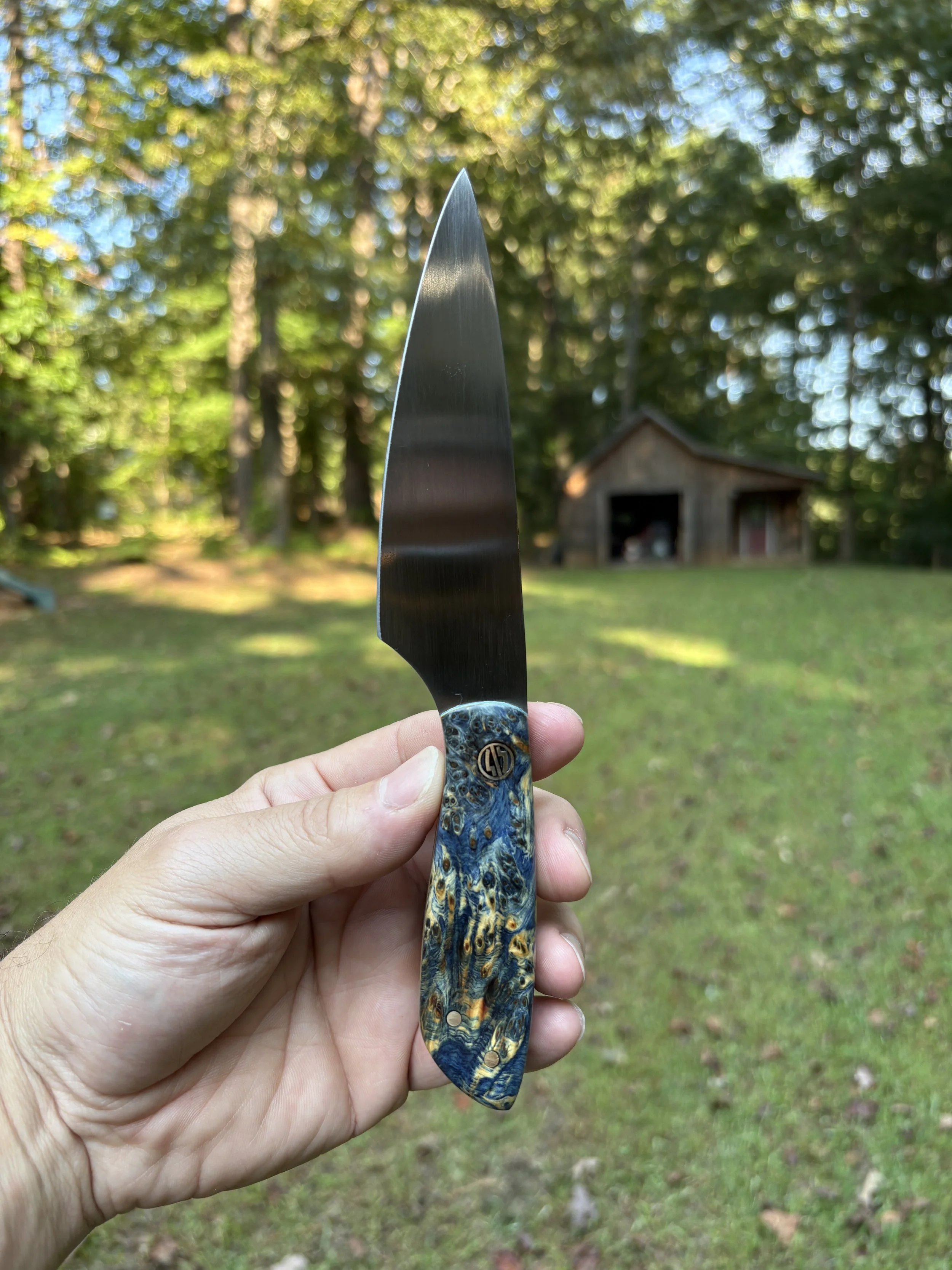 Koda Paring - Blue YCB 3.JPG