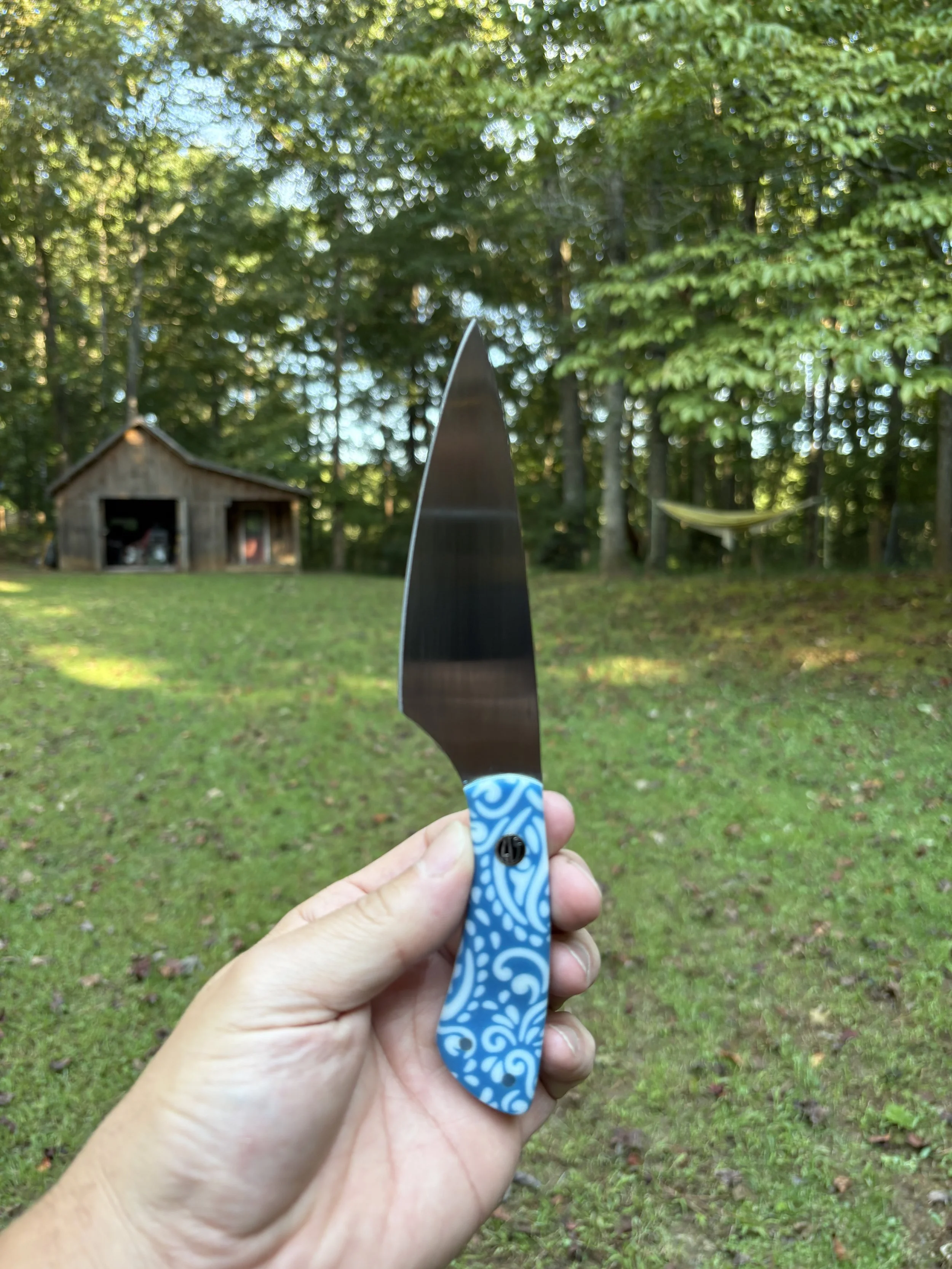 Koda Paring - Blue Paisley 2.JPG