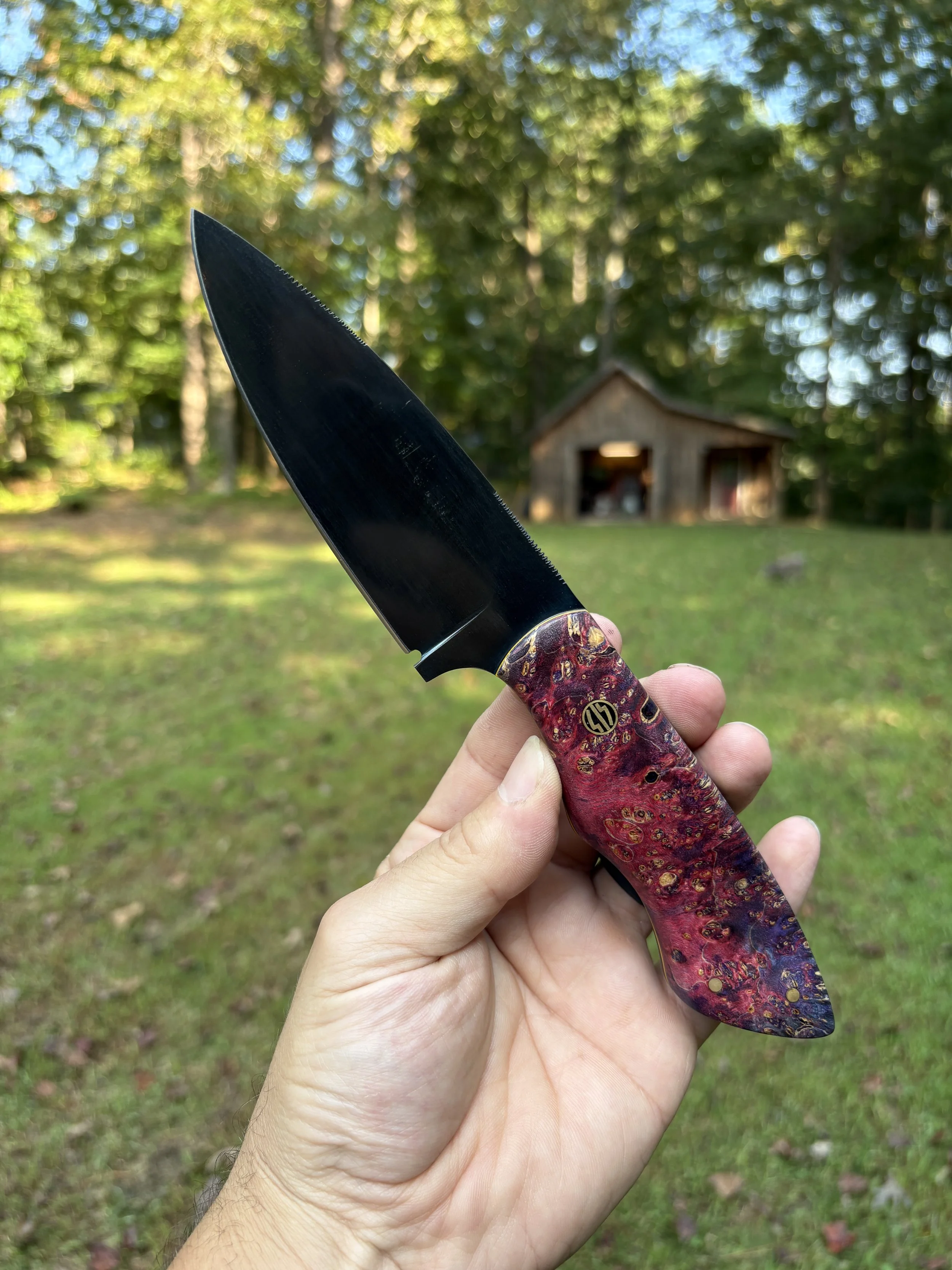 KBC B+B Tracker - Cosmic Amboyna 4.JPG