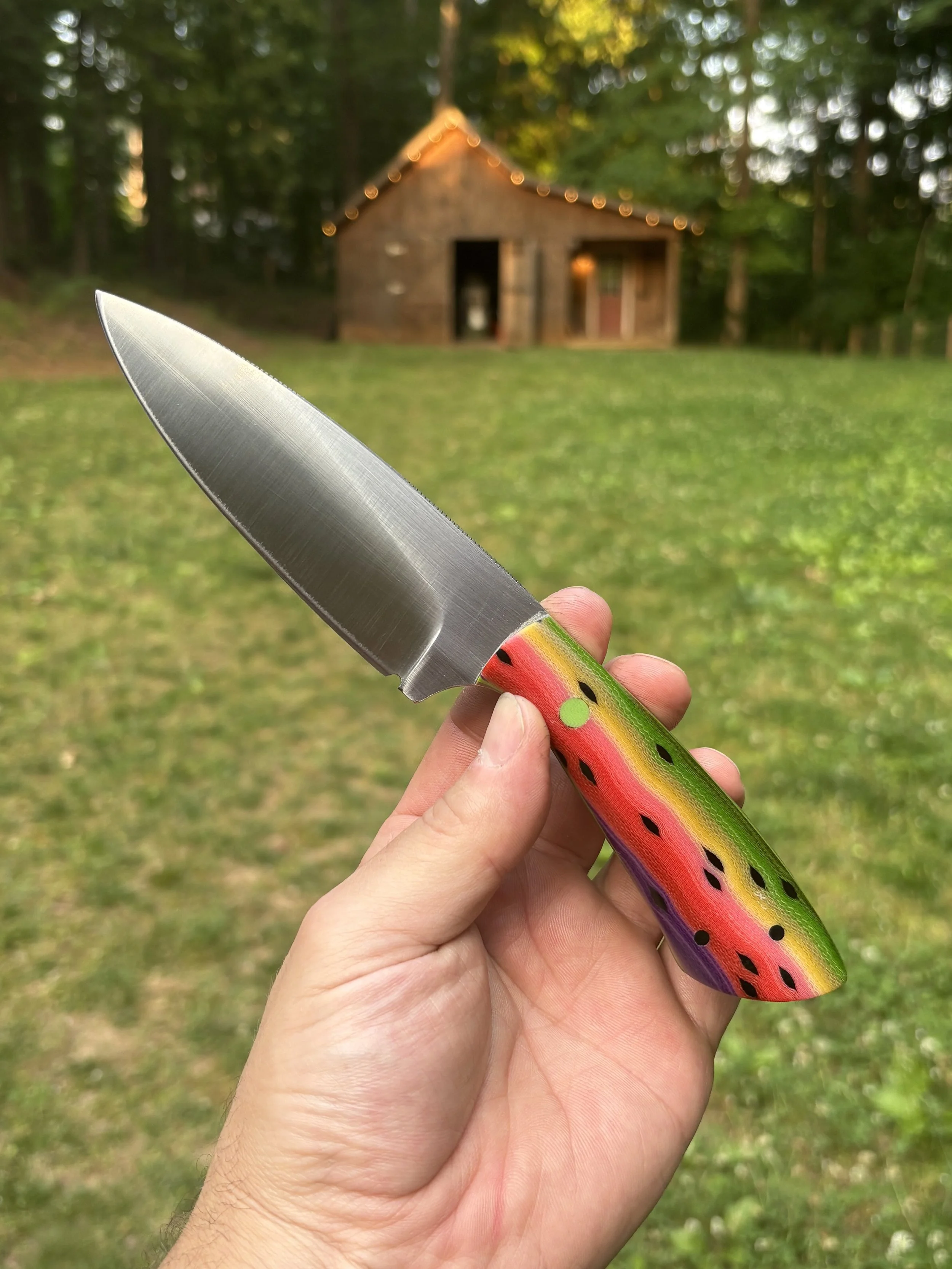 Rainbow Trout 1.jpg