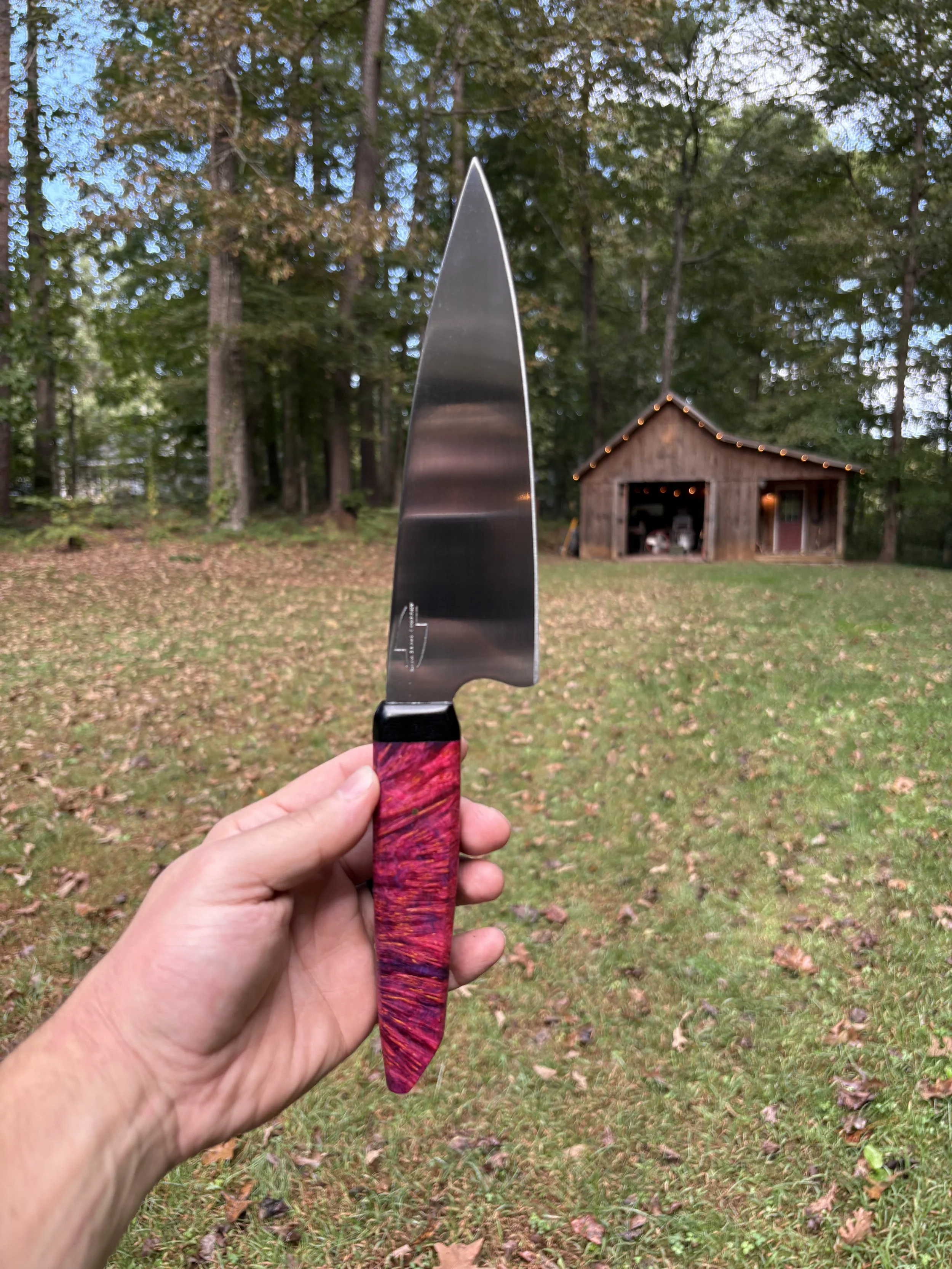 Koda Blade Hornet Yellow Cedar Burl 1.JPG