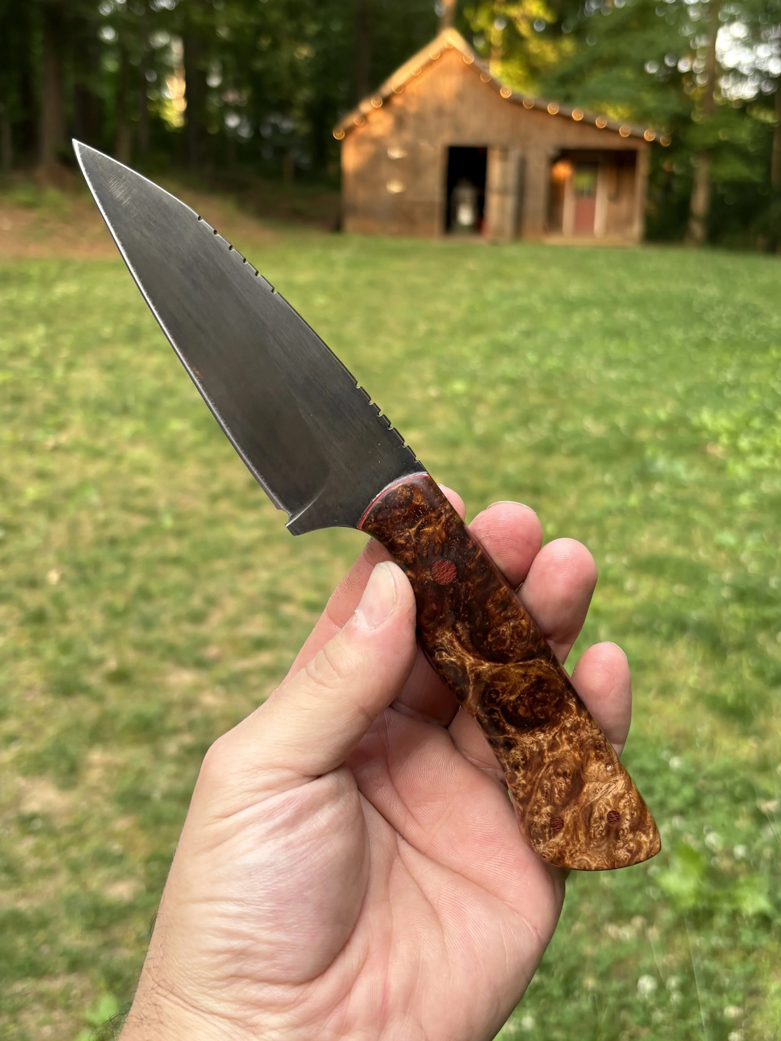 Amboyna 3.jpg