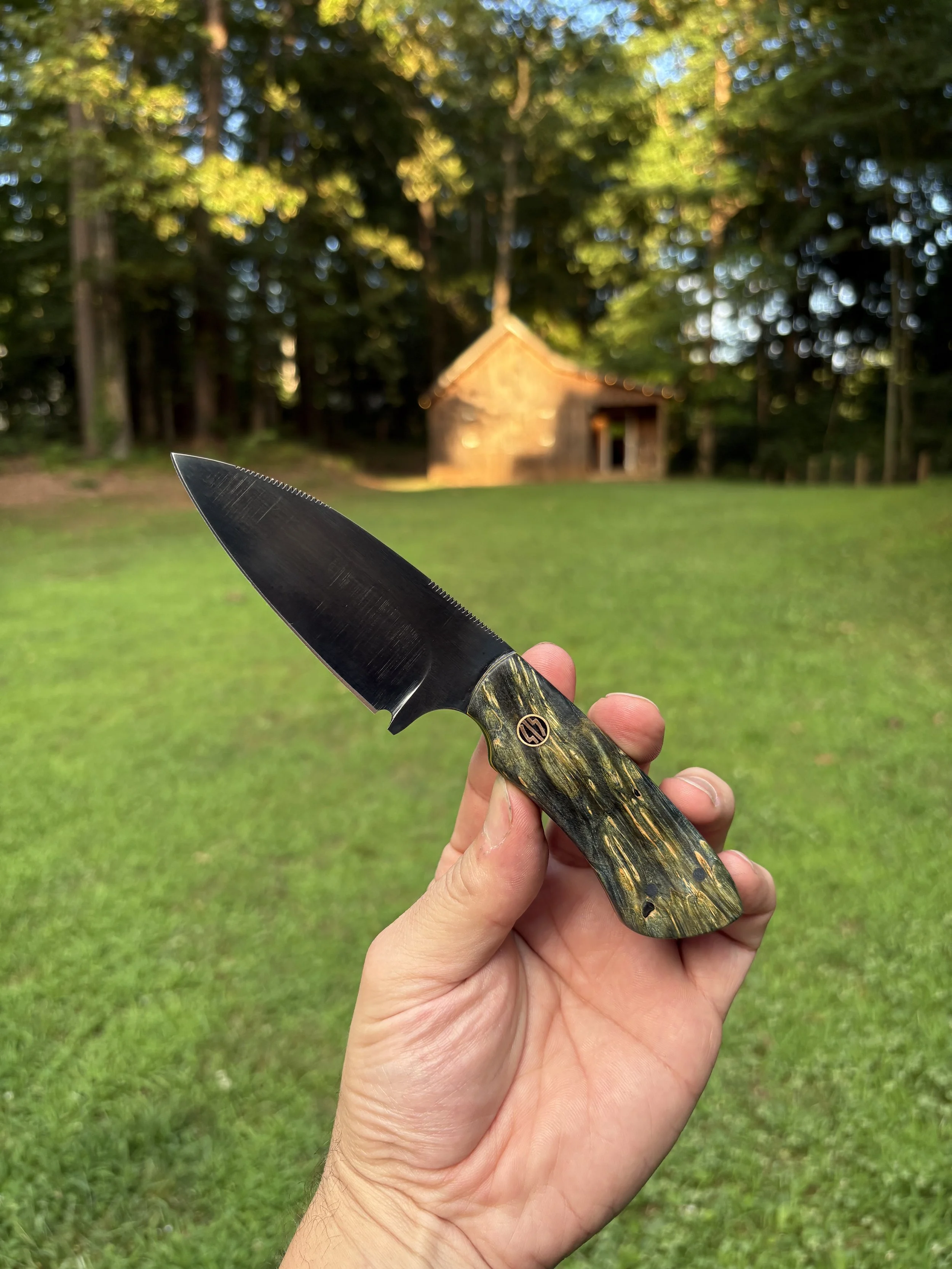 KBC Tracker - Black & Blue Box Elder Yellow 2.JPG