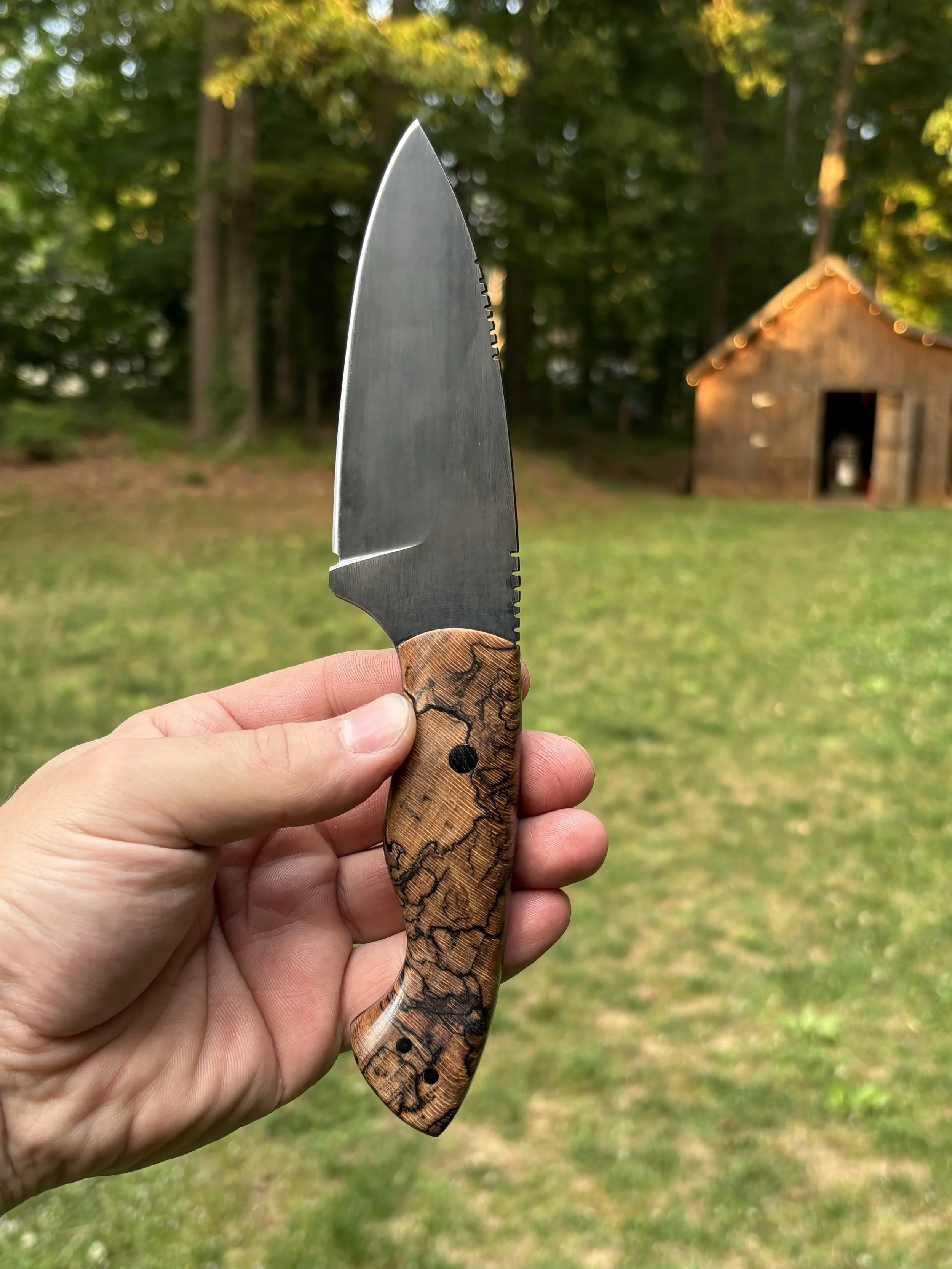 Hackberry 2.jpg