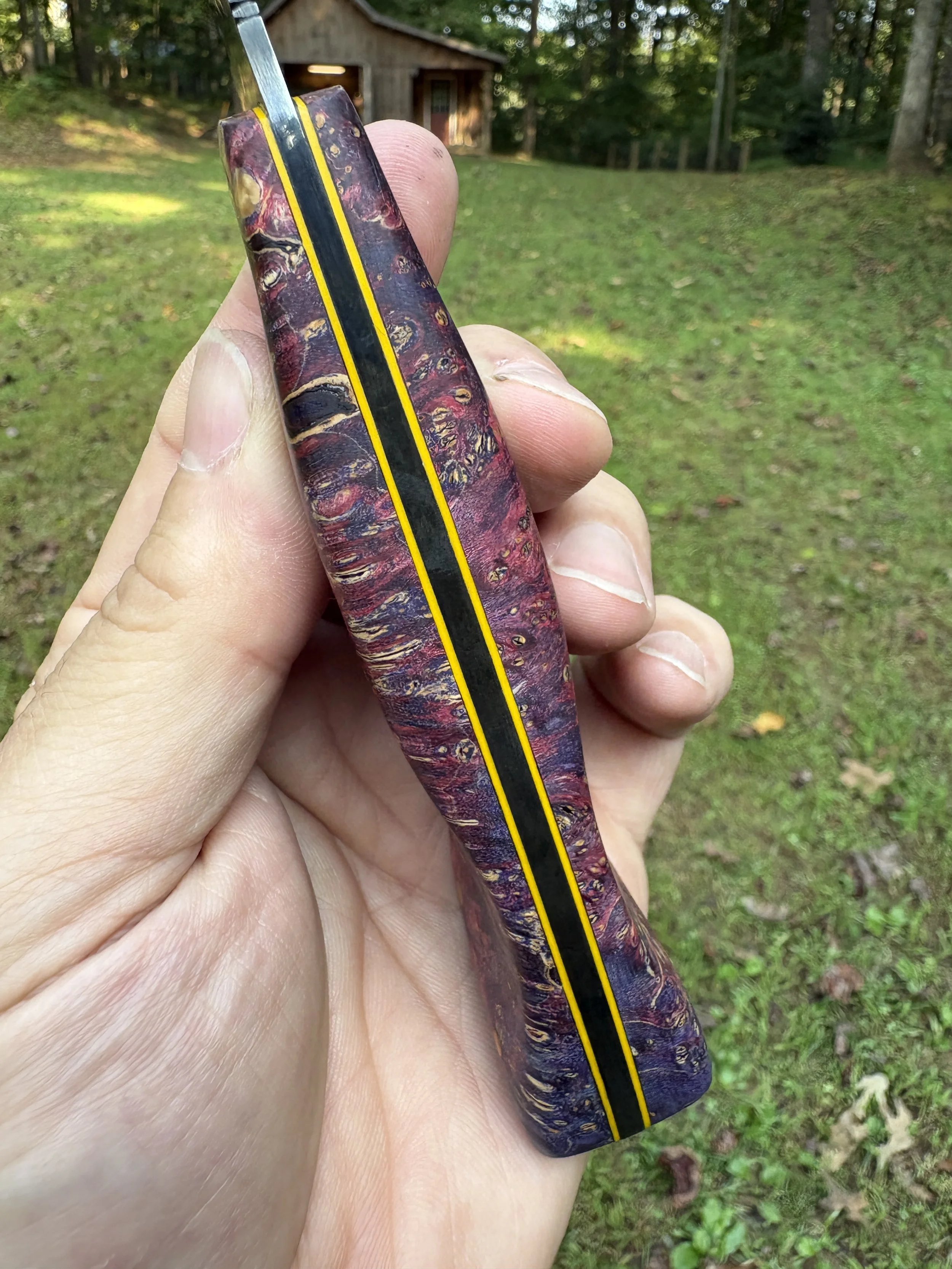 KBC B+B Tracker - Cosmic Amboyna 7.JPG