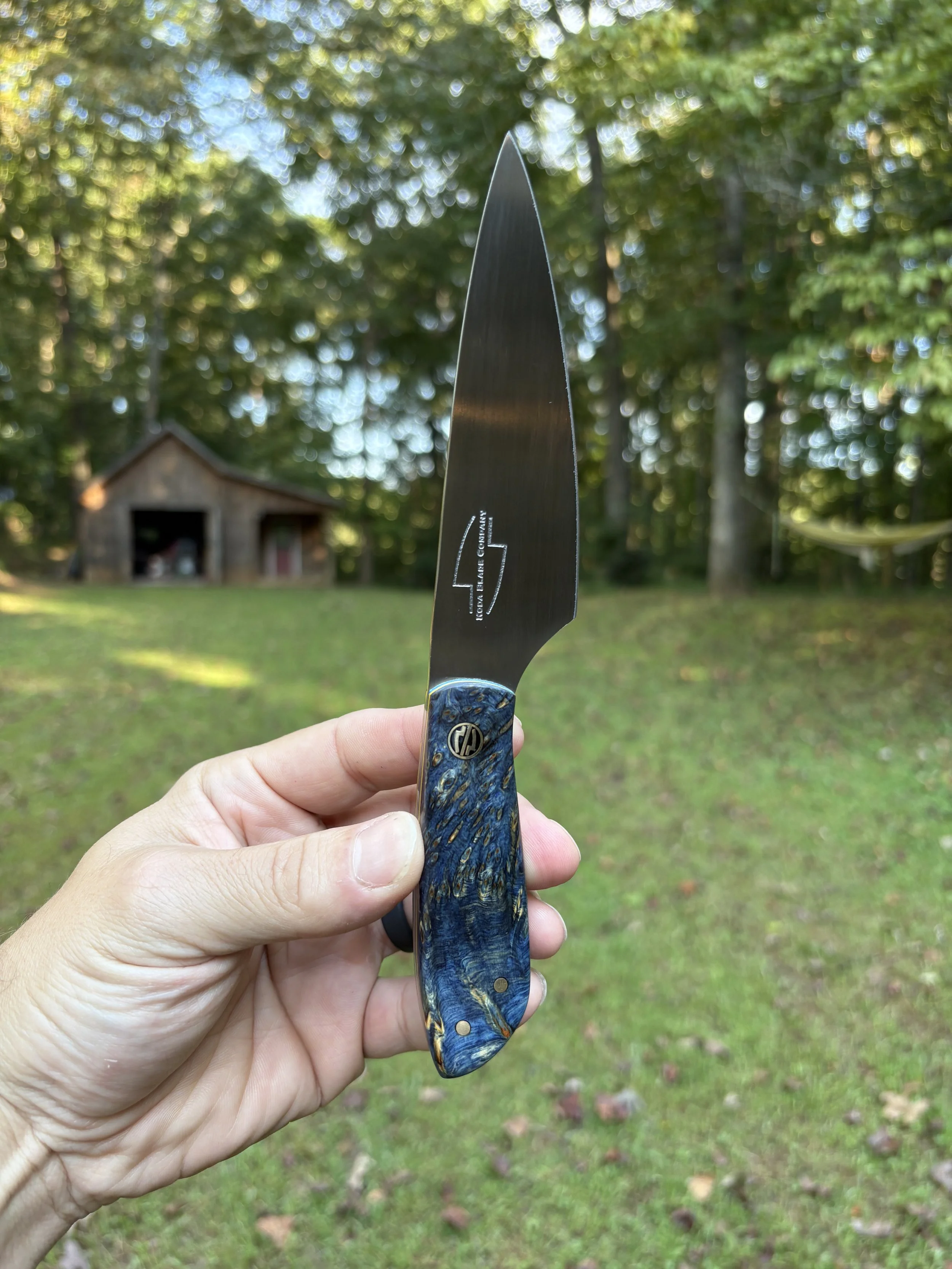 Koda Paring - Blue YCB 1.JPG