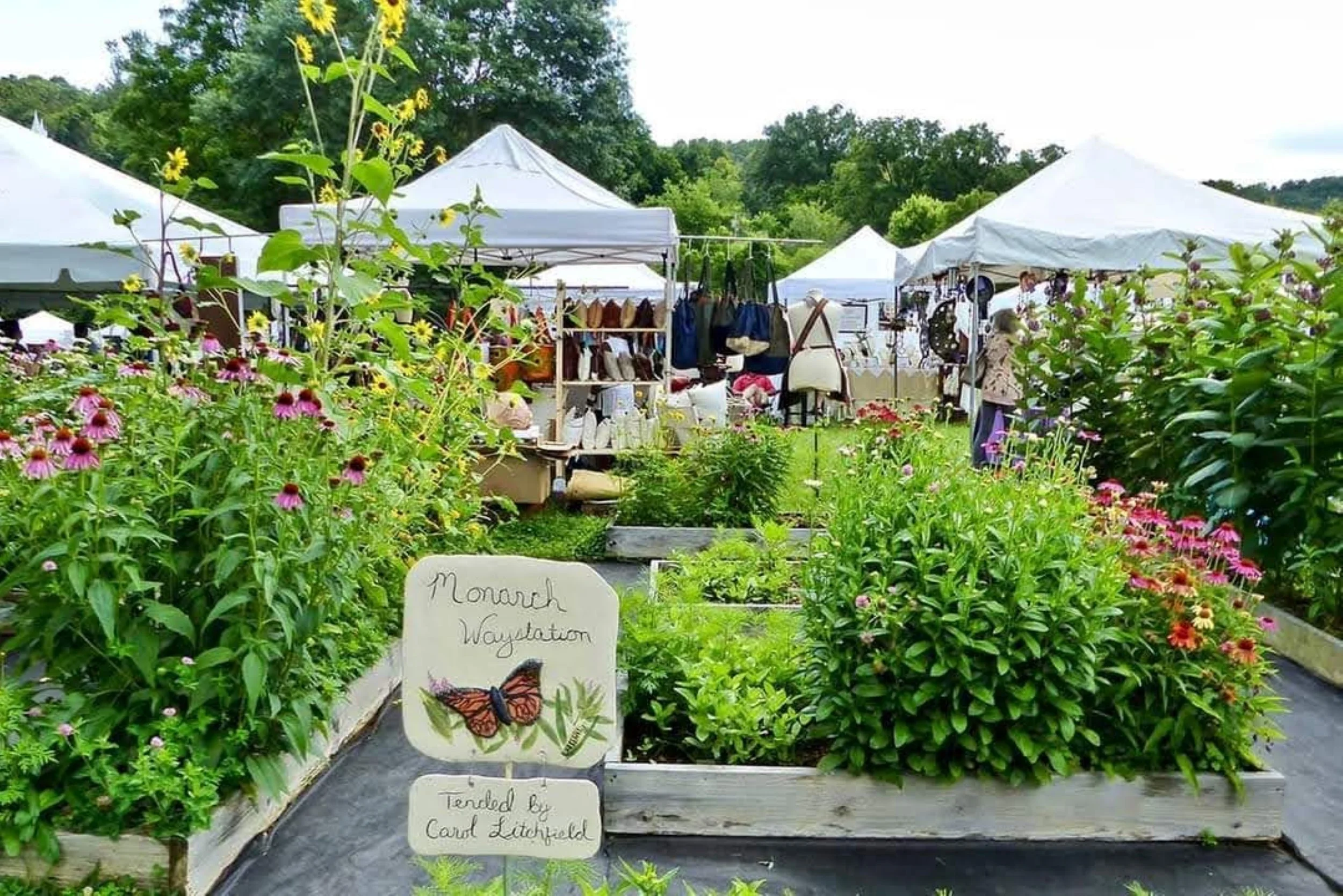 Blue Ridge Heritage Weekend