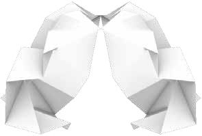 3rdYearOverview_Page_05_Image_0001.png