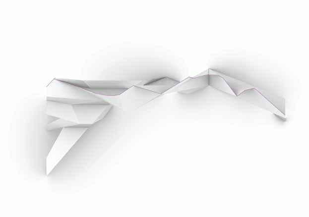 Faceting Tectonic_Page_02_Image_0001.png