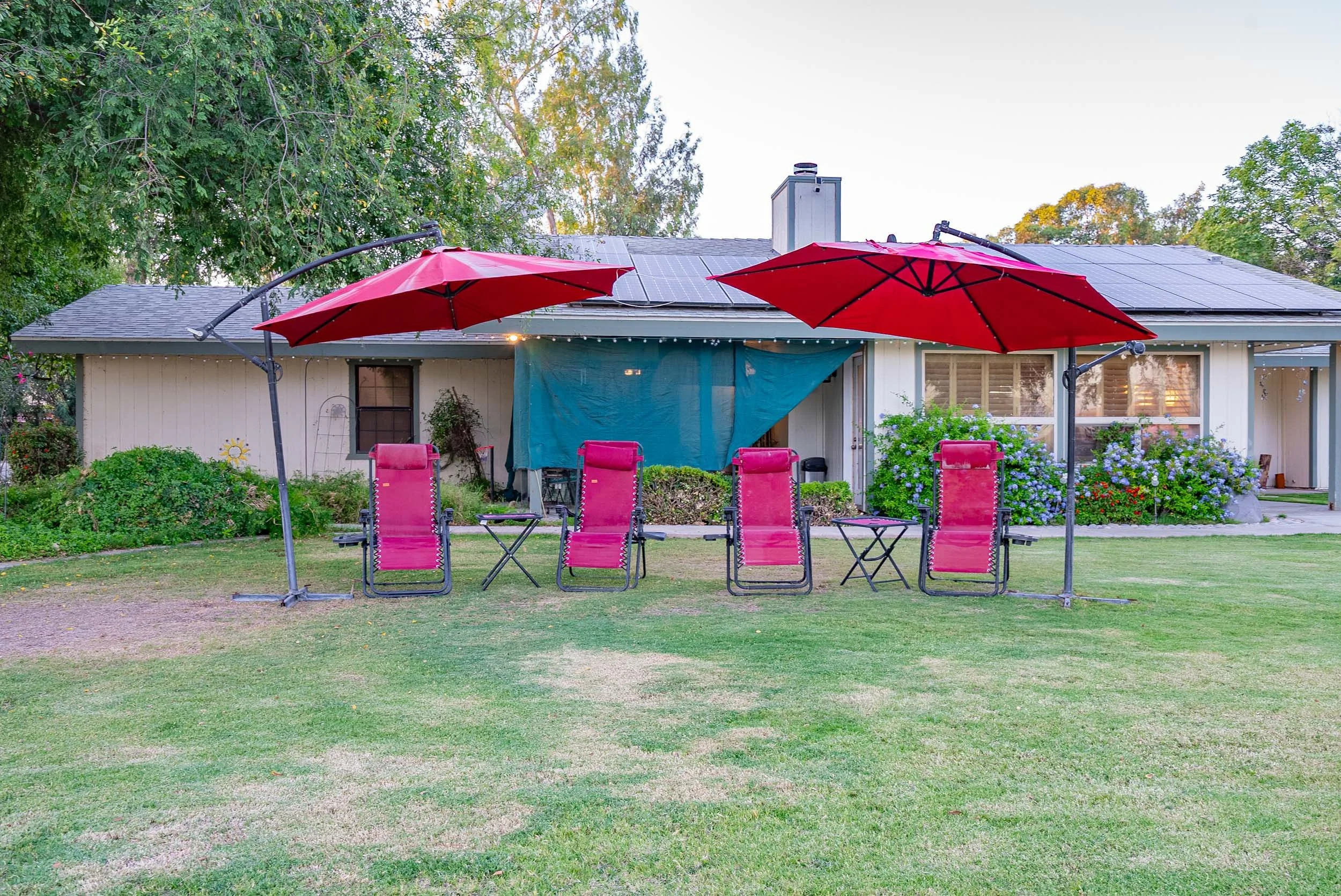 Backyard patio with two red umbrellas, four pink lounge chairs, small tables, and a house with a garden, trees, and bushes.