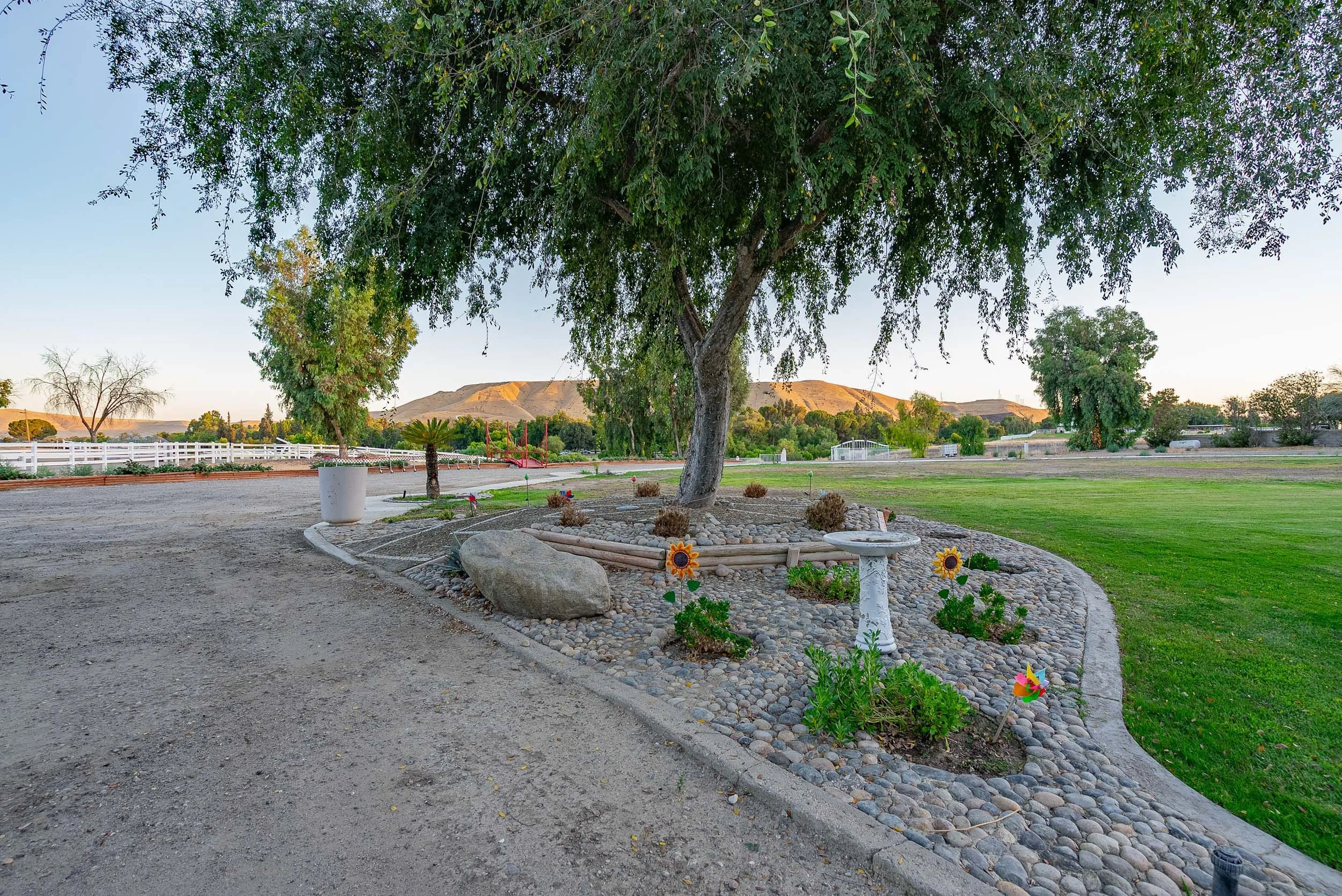 A landscaped area with a large tree, a birdbath, sunflowers, and small plants, surrounded by rocks and a gravel path, with open green grass and hills in the background.