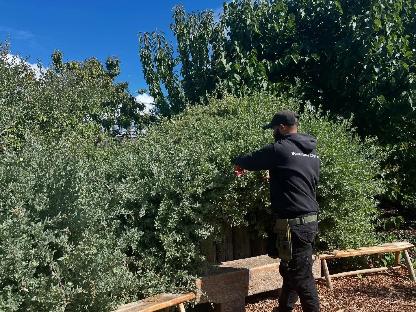 @spitalfieldscityfarm tour with Chris showing us a thriving inner city farm and community space. 

Looking forward to preserving what is left of Summer and watching what is growing now that will be ready for our opening in October !