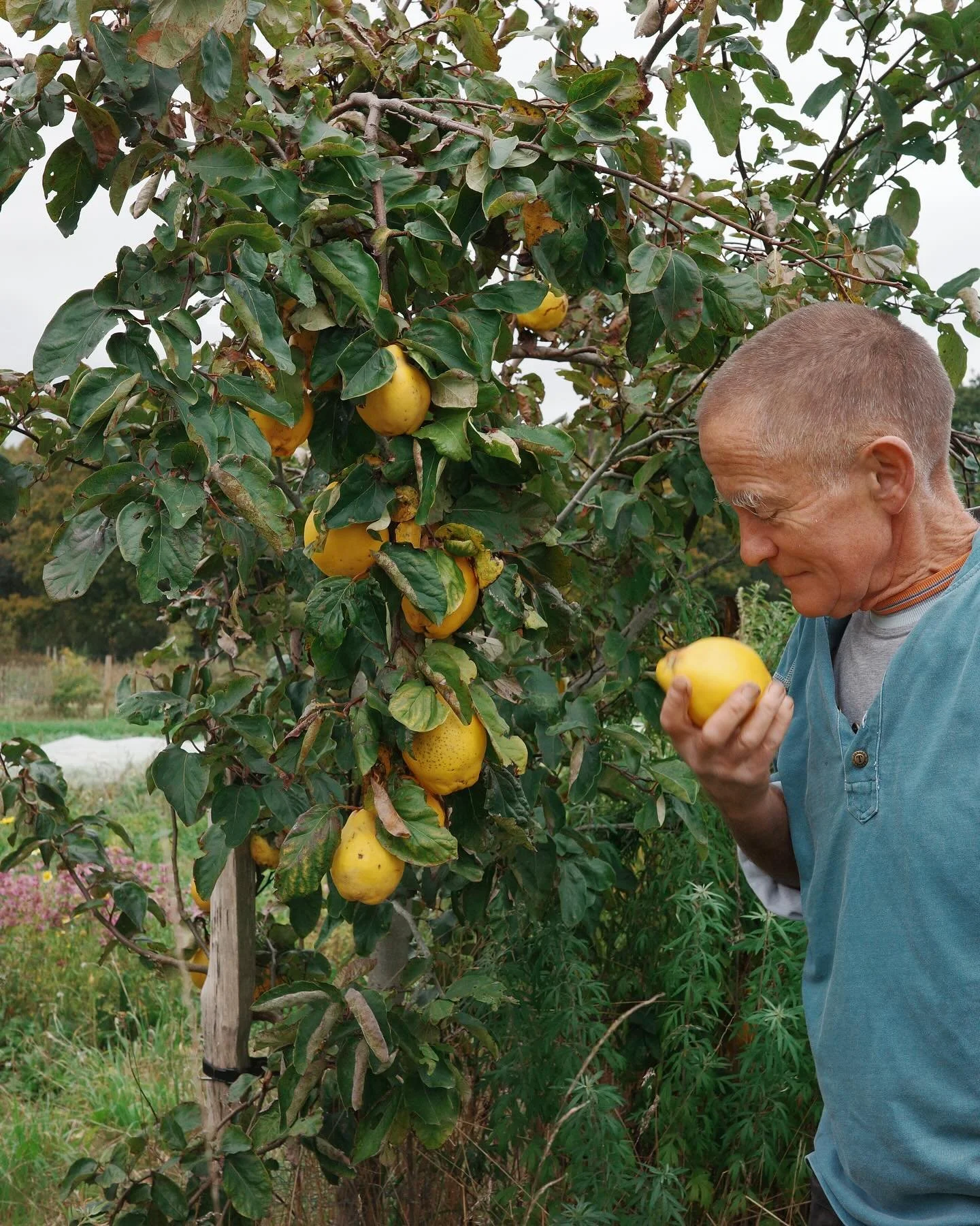 @namayasaifarm farm visit with the Dockley Road team: @emilyzchia @claireseags @joelpetermills @piasdinner 
Feat. Pia&rsquo;s mini car, farm cats, Joel&rsquo;s love of the farm life and hospitality from Ikuko, Robin and their amazing team
Thank you a