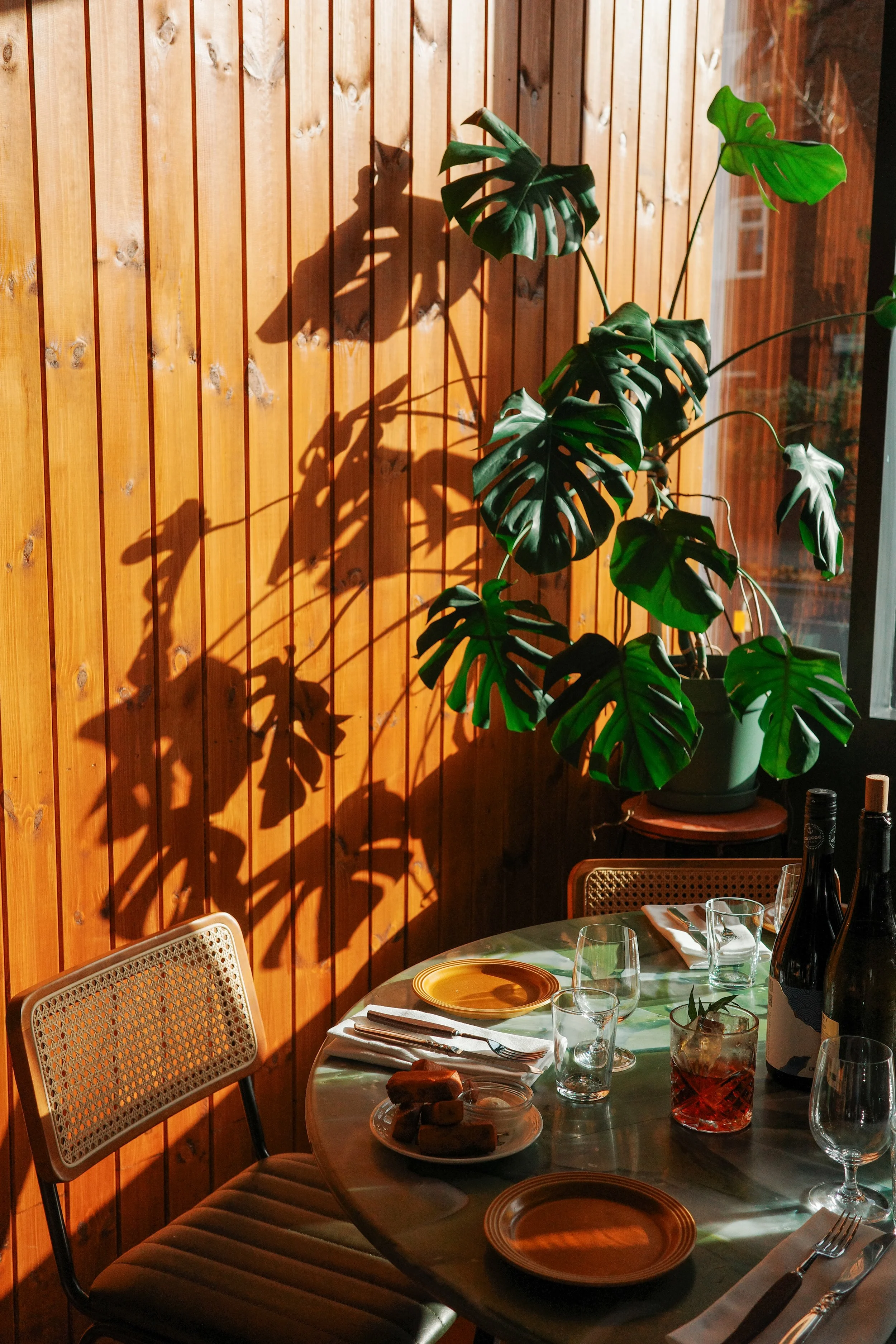 A dining table set for a meal with plates, glasses, and utensils, next to a window. A large potted Monstera plant casts a shadow on a wooden-paneled wall. There are wine bottles and a glass of red drink on the table.