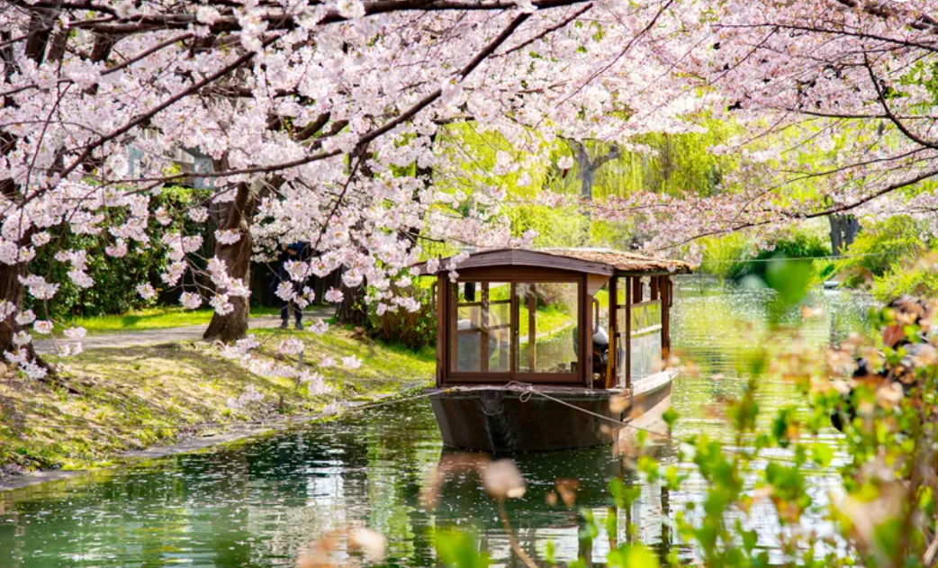 Japan travel for couples: wonder, connection, and a little bit of magic