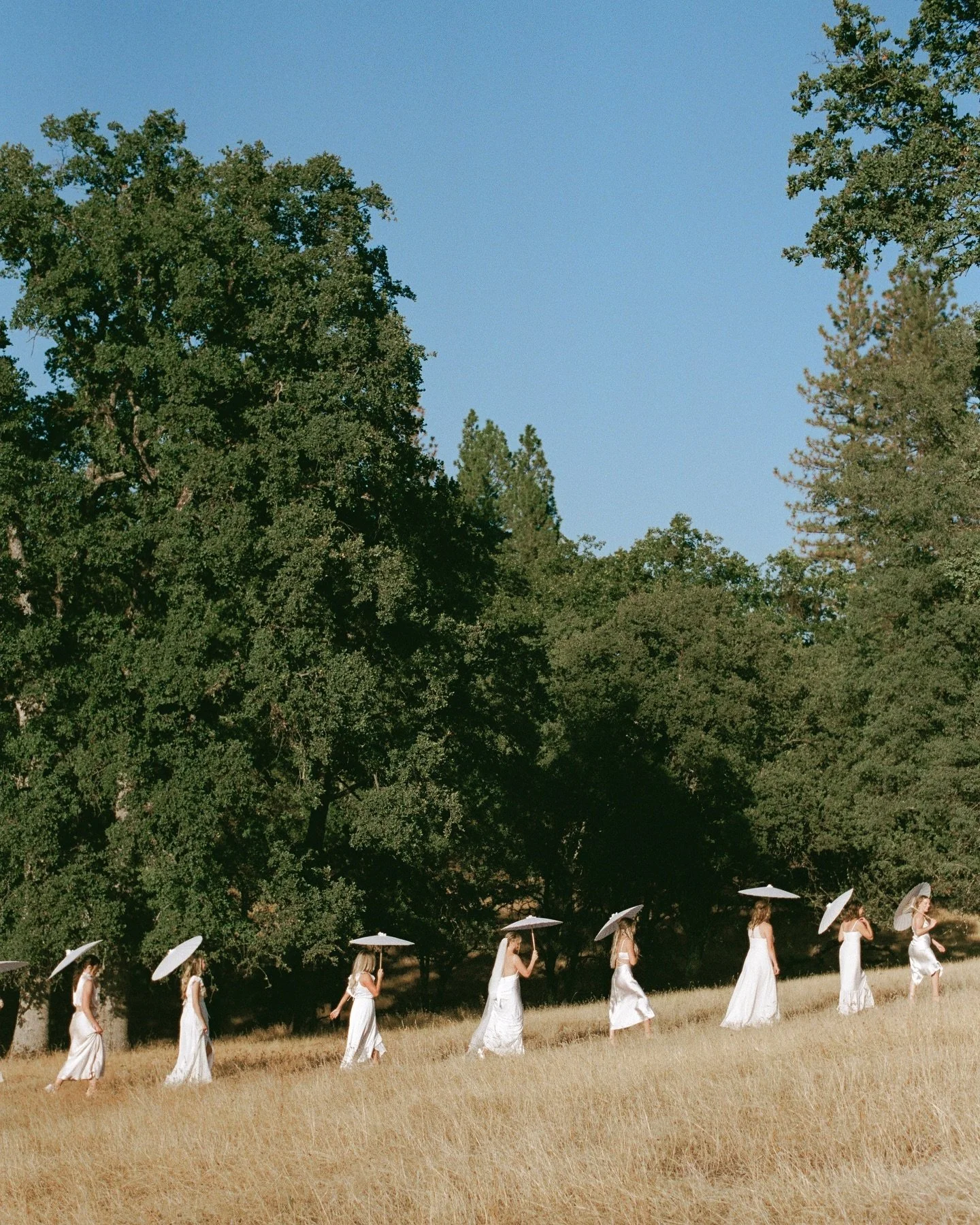 a moment for an angel bride &amp; bridesmaids along with just a few details &mdash; on mostly film🎞🕊
