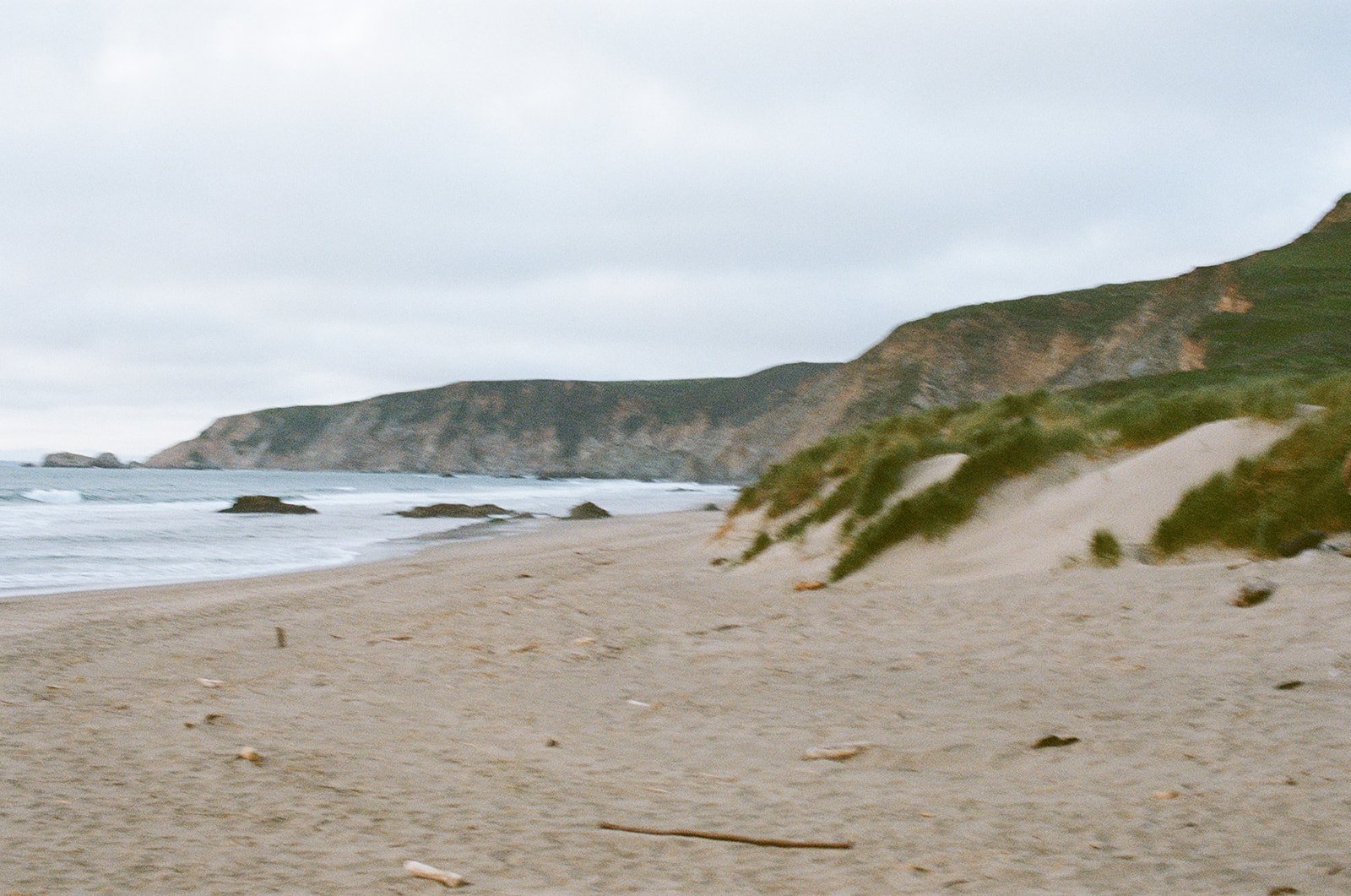 Daniela & John at Point Reyes on Film-130.jpg