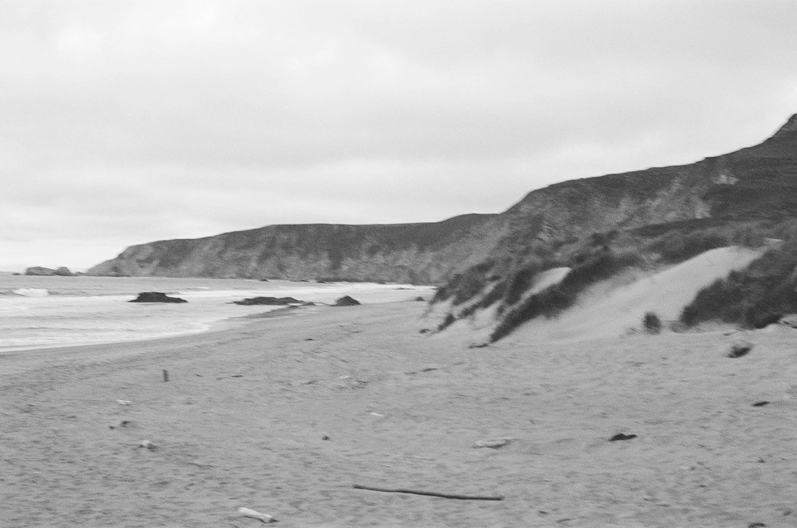 Daniela & John at Point Reyes on Film-129.jpg