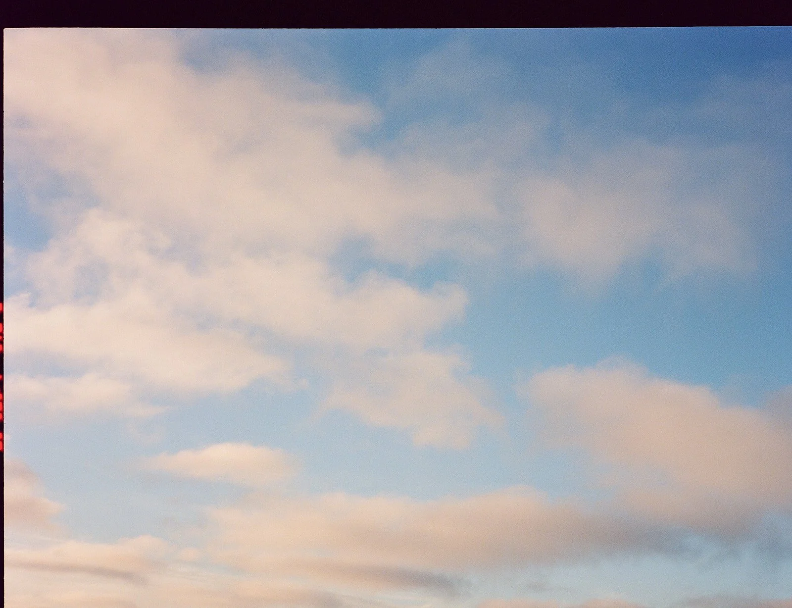 Daniela & John at Point Reyes on Film-159.jpg