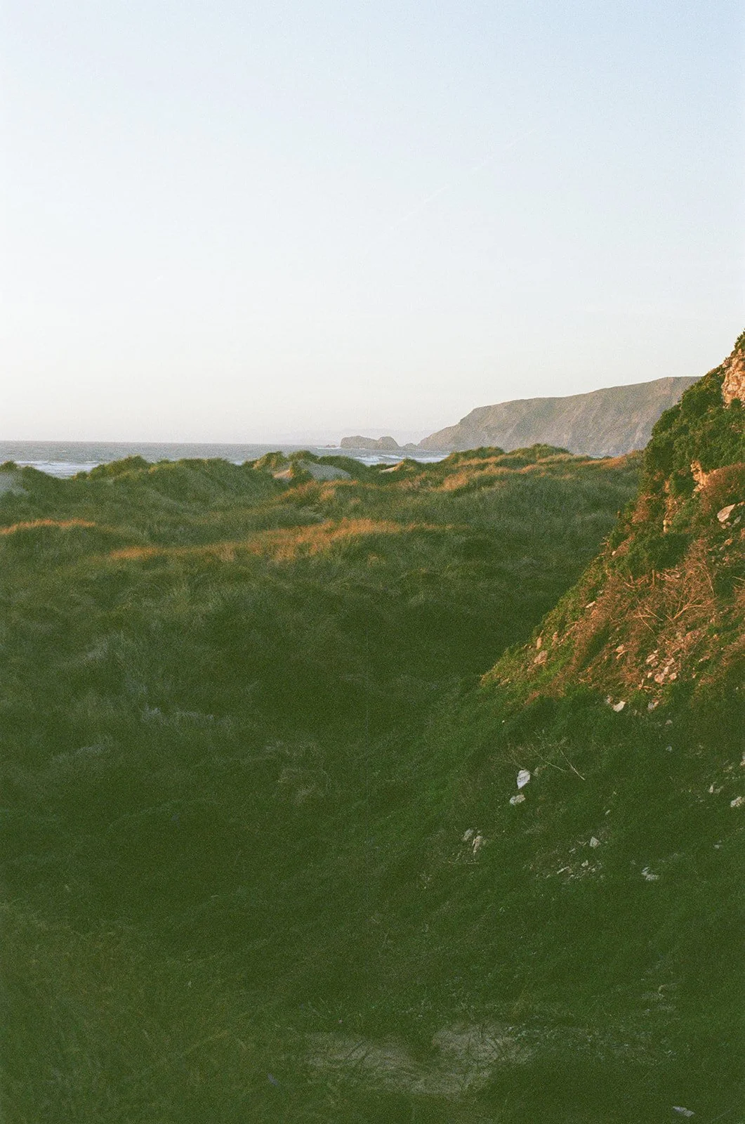 Daniela & John at Point Reyes on Film.jpg