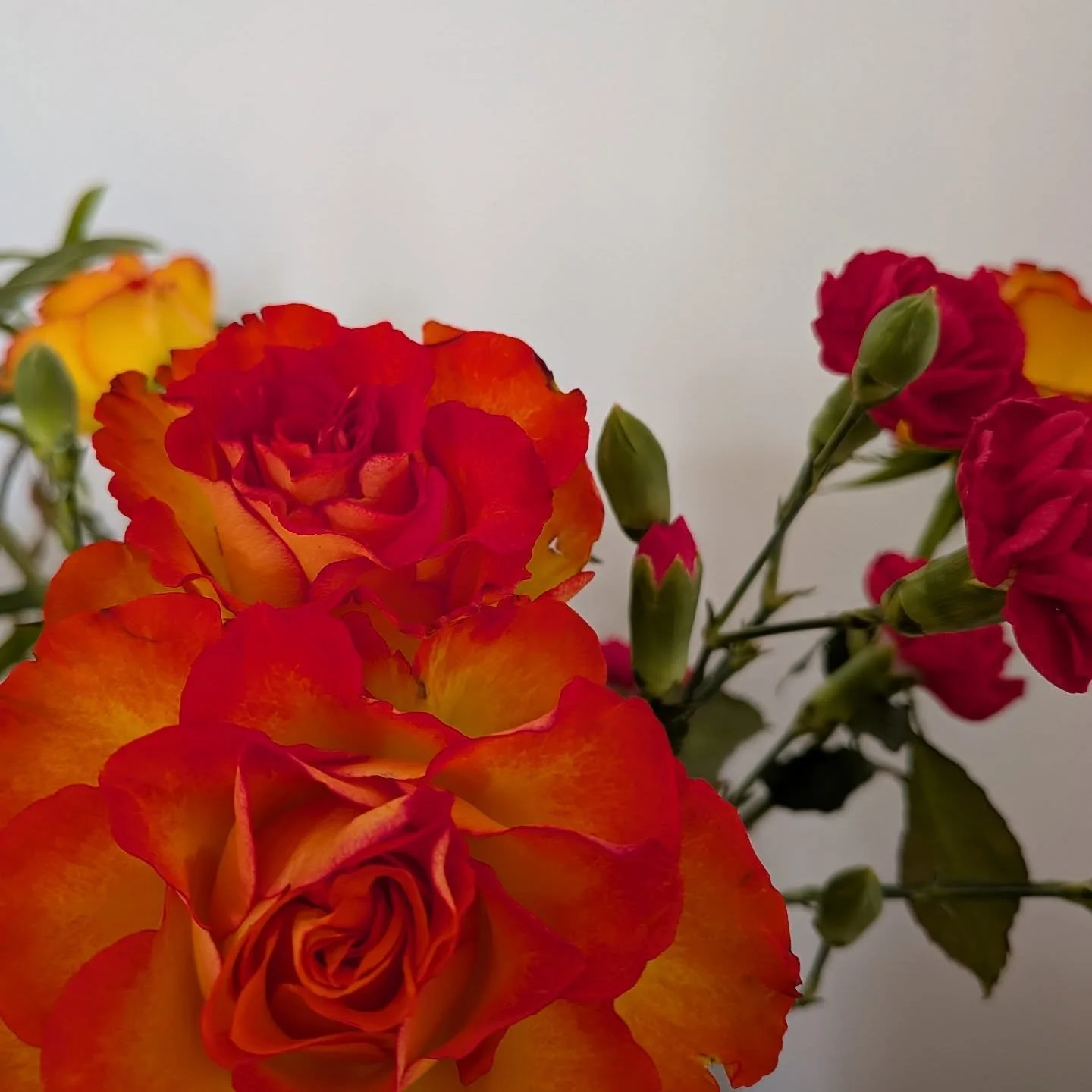 🌸Spring is on the way and that's going to mean a few changes around here at Shine Bright Learning! 🌸 

With increasing demand for 1:1 tutoring, I'm going to be opening up a few extra slots. If you're on my waiting list, I will be in touch soon.. an