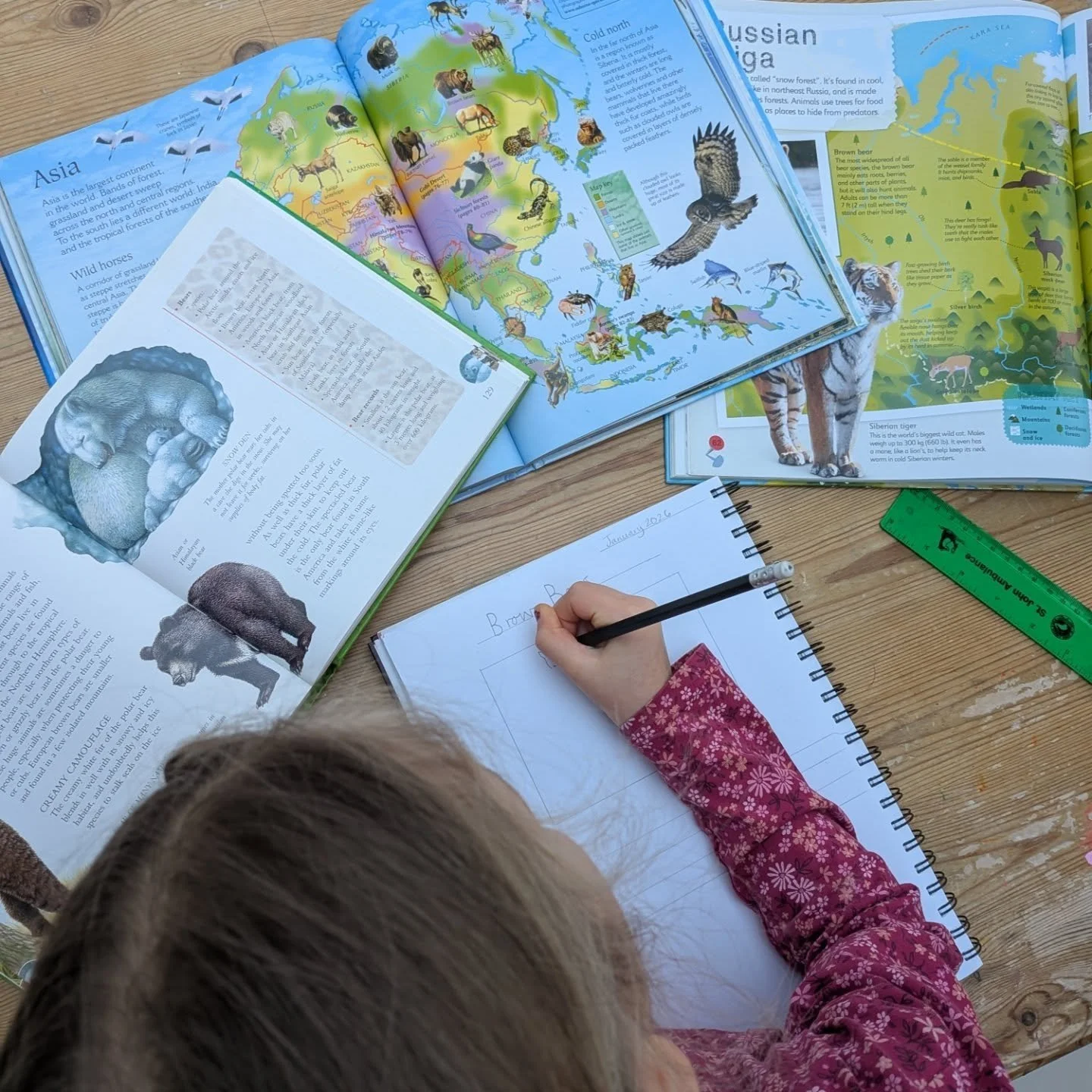 🧠 Wonder Books 🧠

This morning, my 6 yo woke up with lots of questions about Peru.. partly because we sponsor a child who lives there, and partly because of a growing love of Paddington! This is nothing to do with any projects we are working on at 