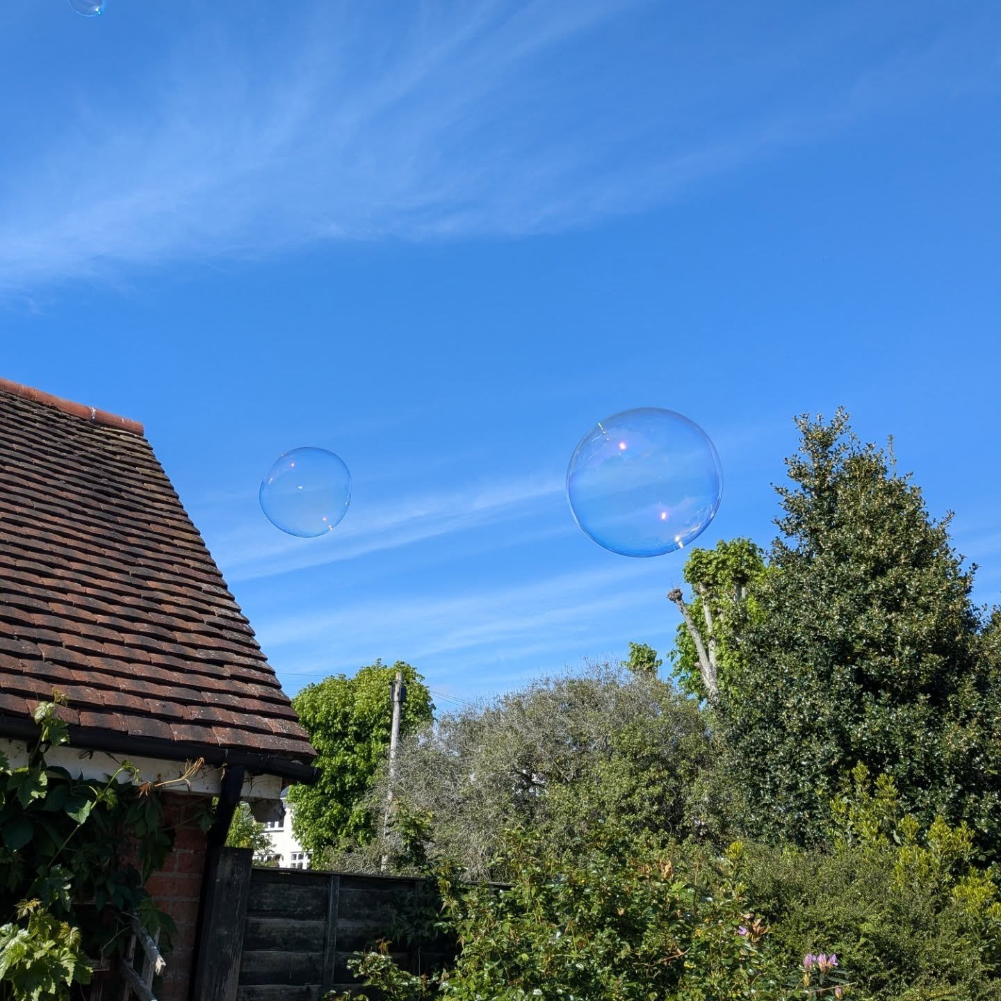 What a Mondayish Tuesday! Hope you all had a lovely bank holiday 🥰 This morning we've enjoyed some maths, a home-ed friends meet up and now settling into some learning about habitats before drama class this afternoon! ✨ What are you learning about t