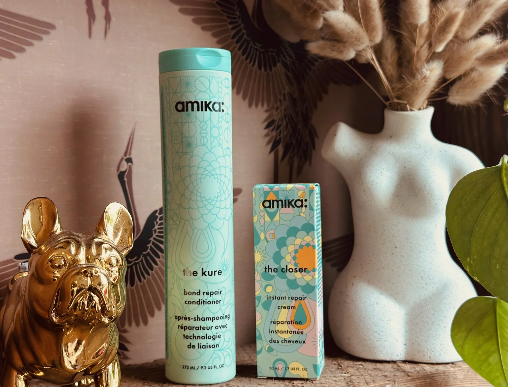 Decorative items including a golden bulldog figurine, two skincare products labeled "amika the kure" and "amika the closer," a ceramic vase with dried flowers, and a green indoor plant.
