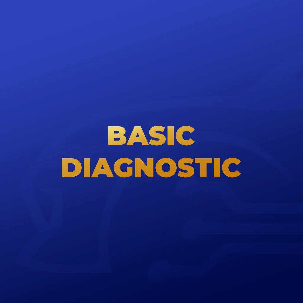 Basic-Diagnostic.webp